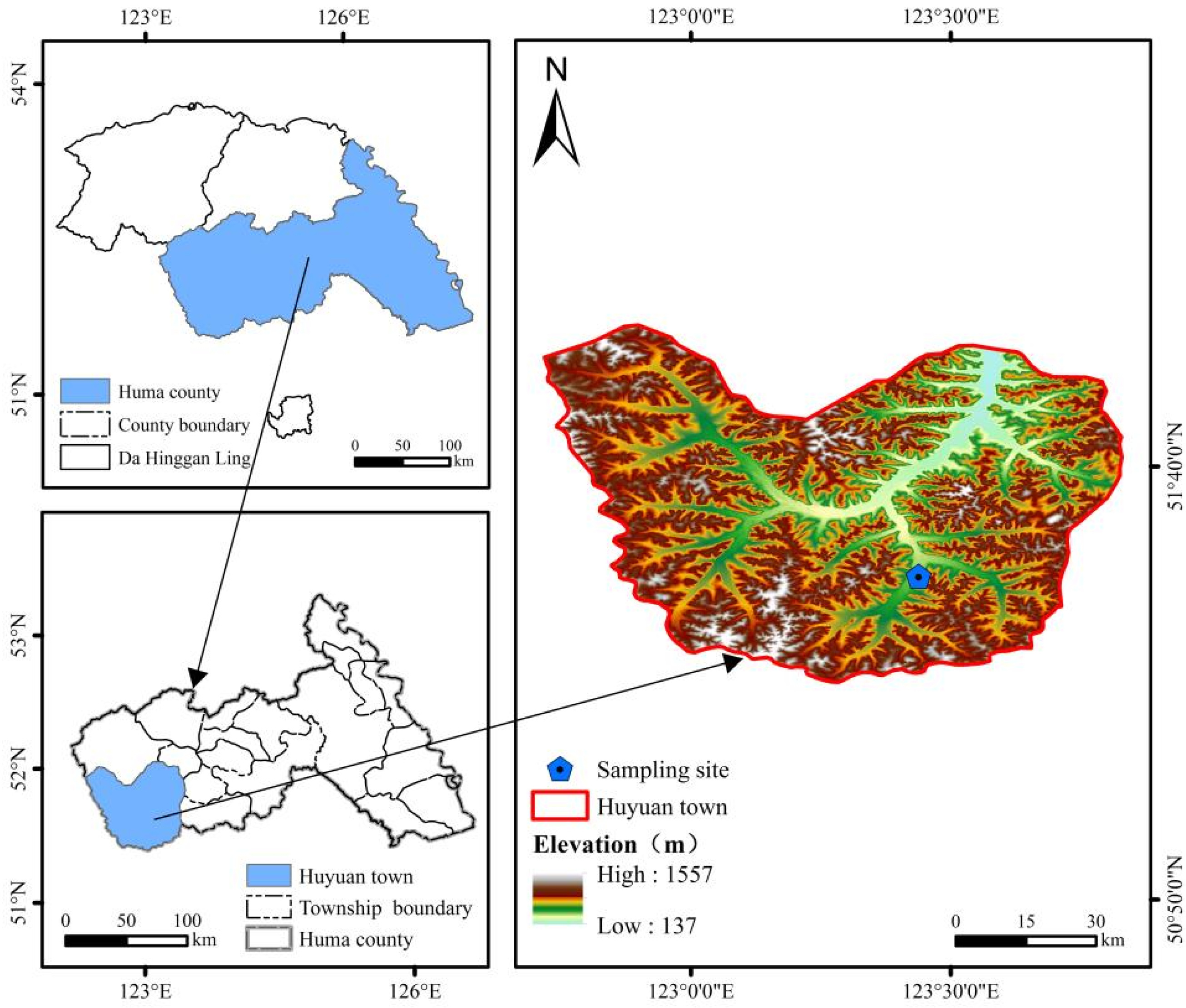 Forests 16 00685 g001