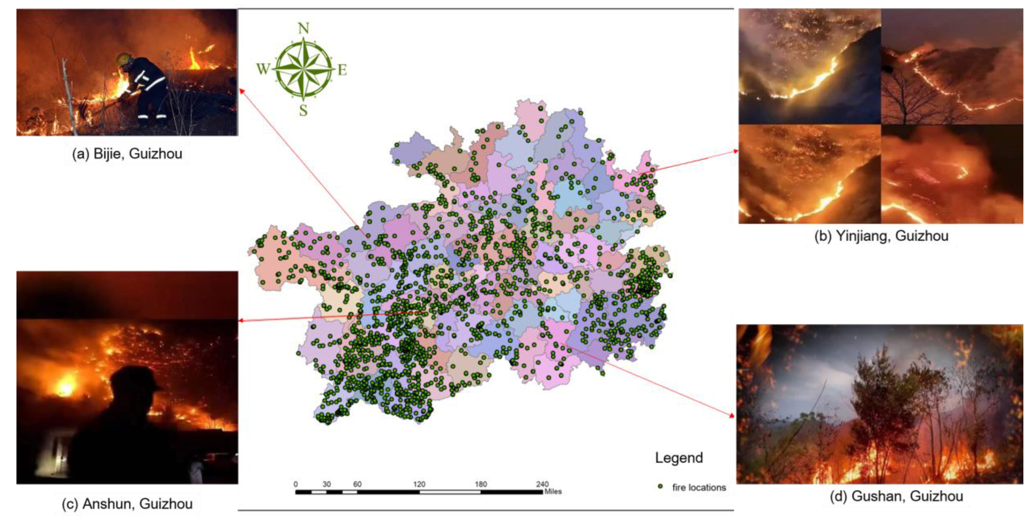 Forests 16 00689 g002