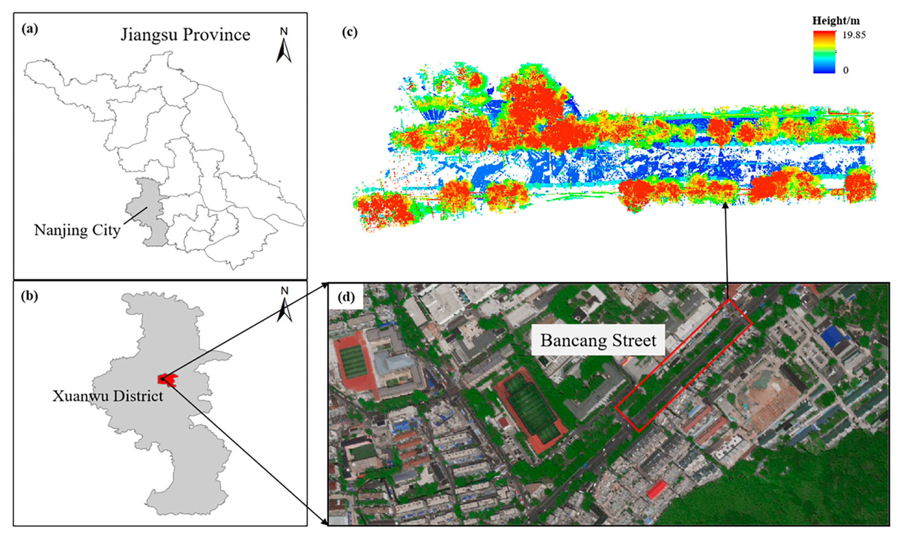 Forests 16 00690 g001