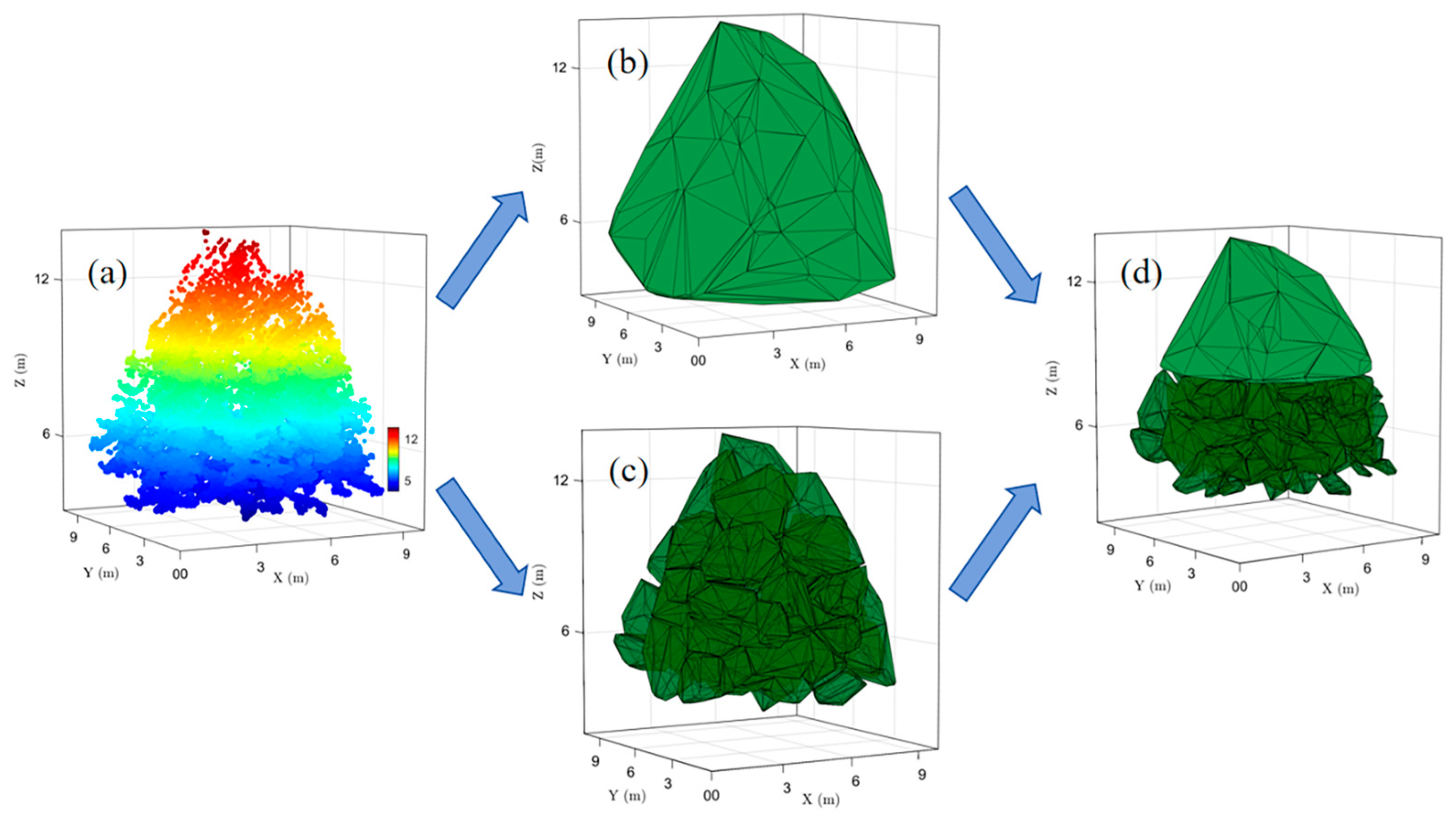 Forests 16 00690 g003