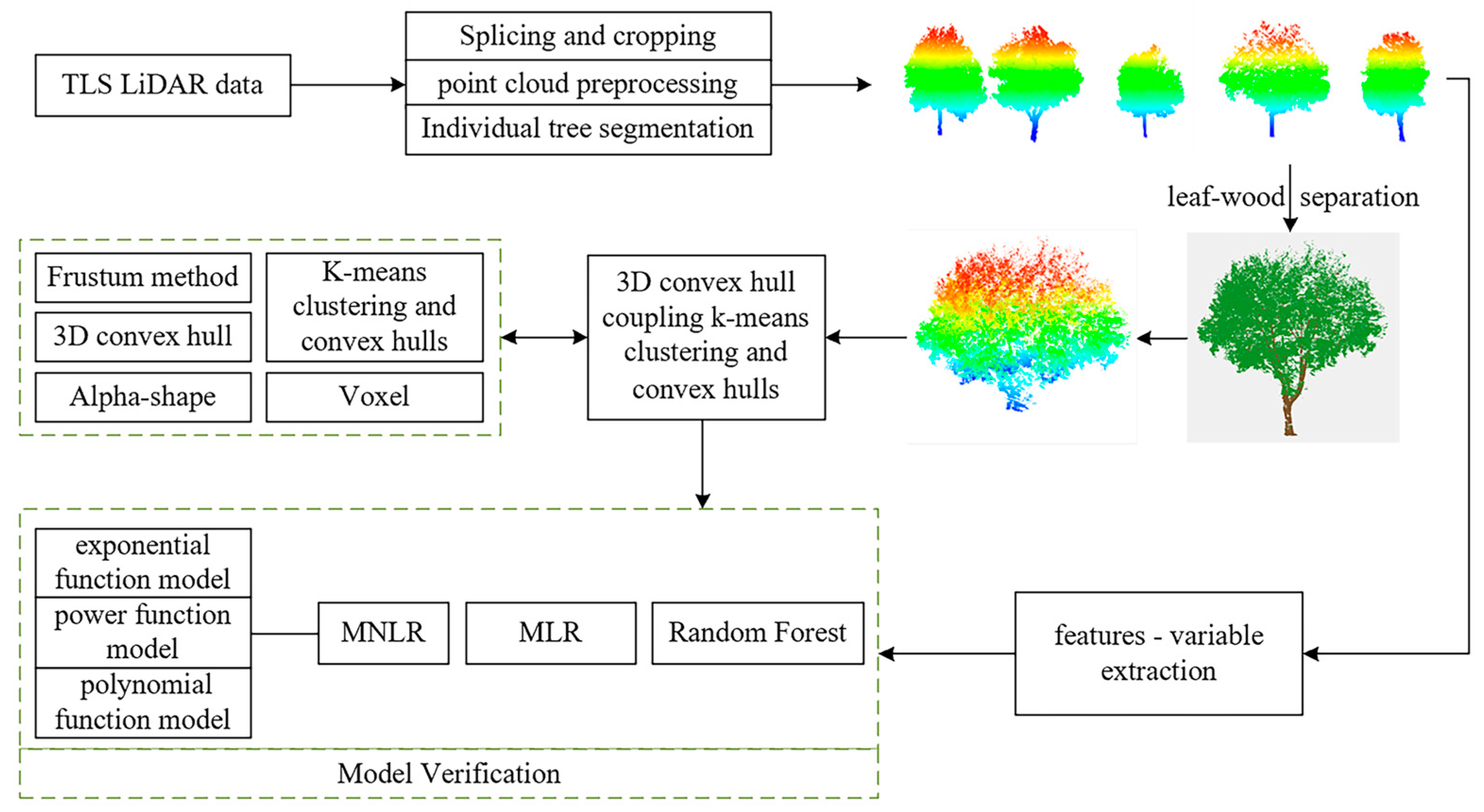 Forests 16 00690 g004