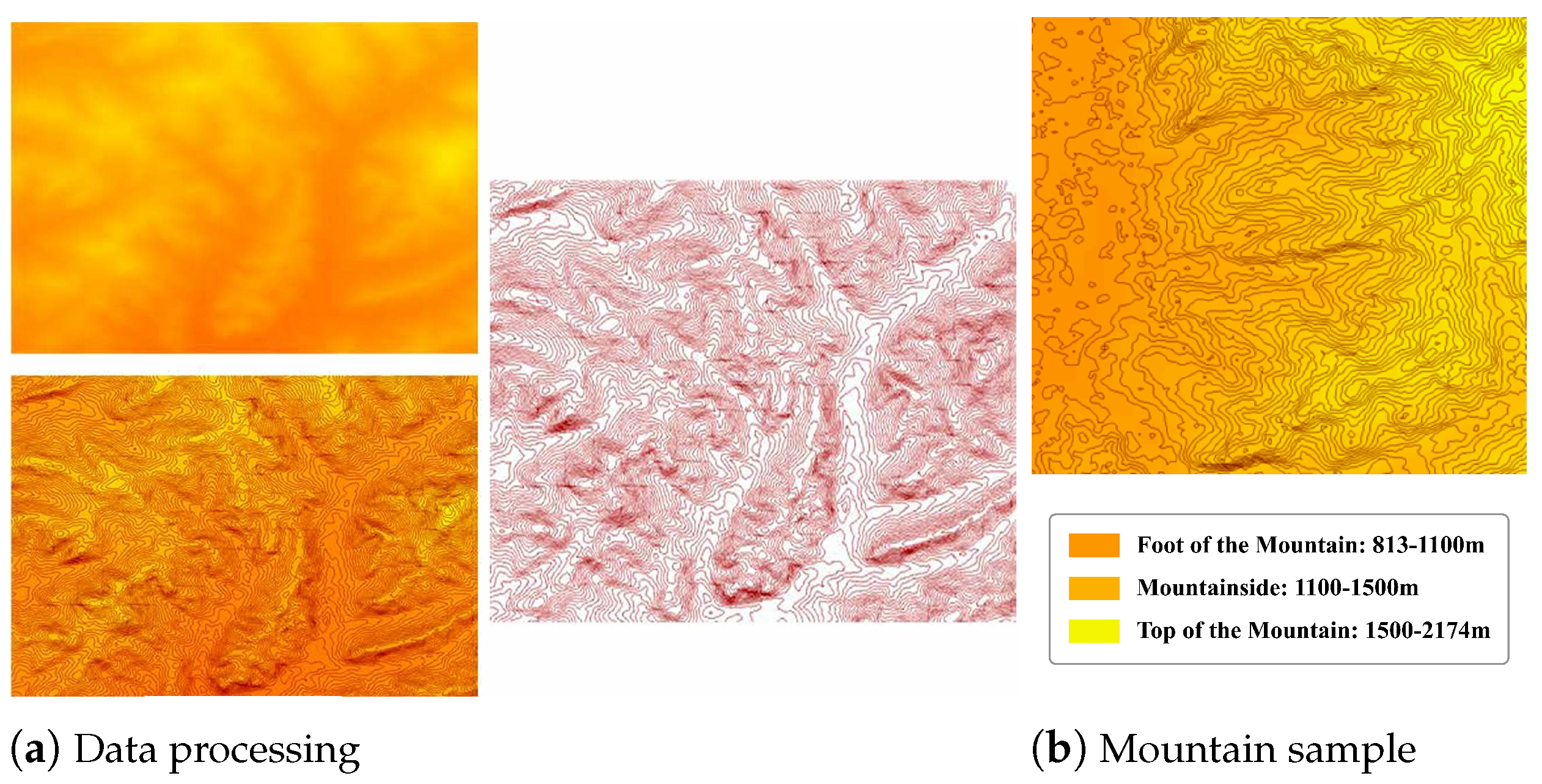 Forests 16 00692 g002
