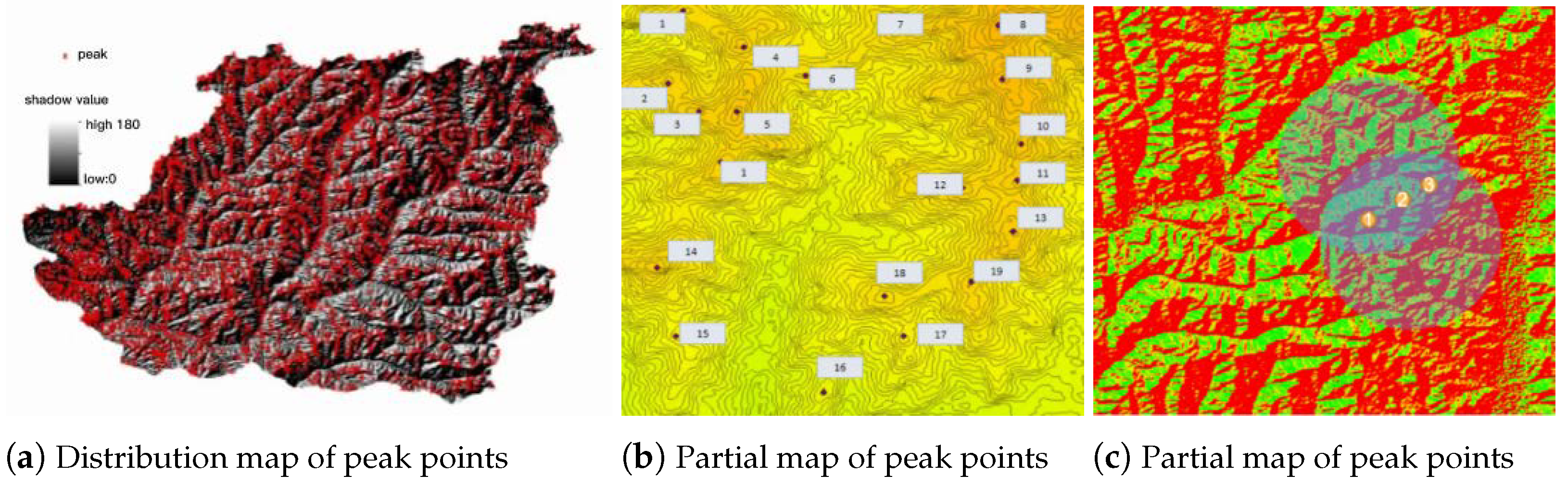Forests 16 00692 g011