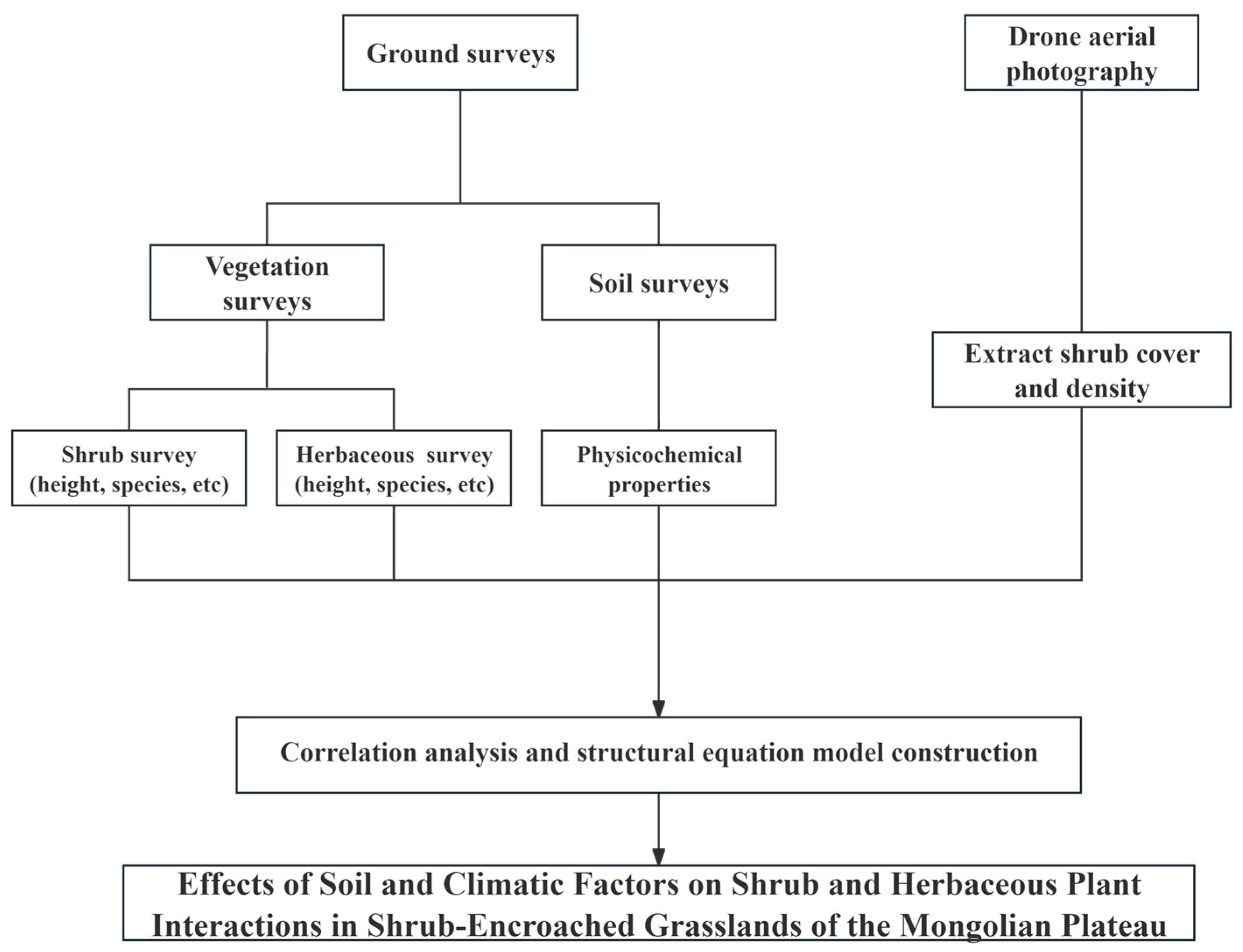 Forests 16 00696 g003