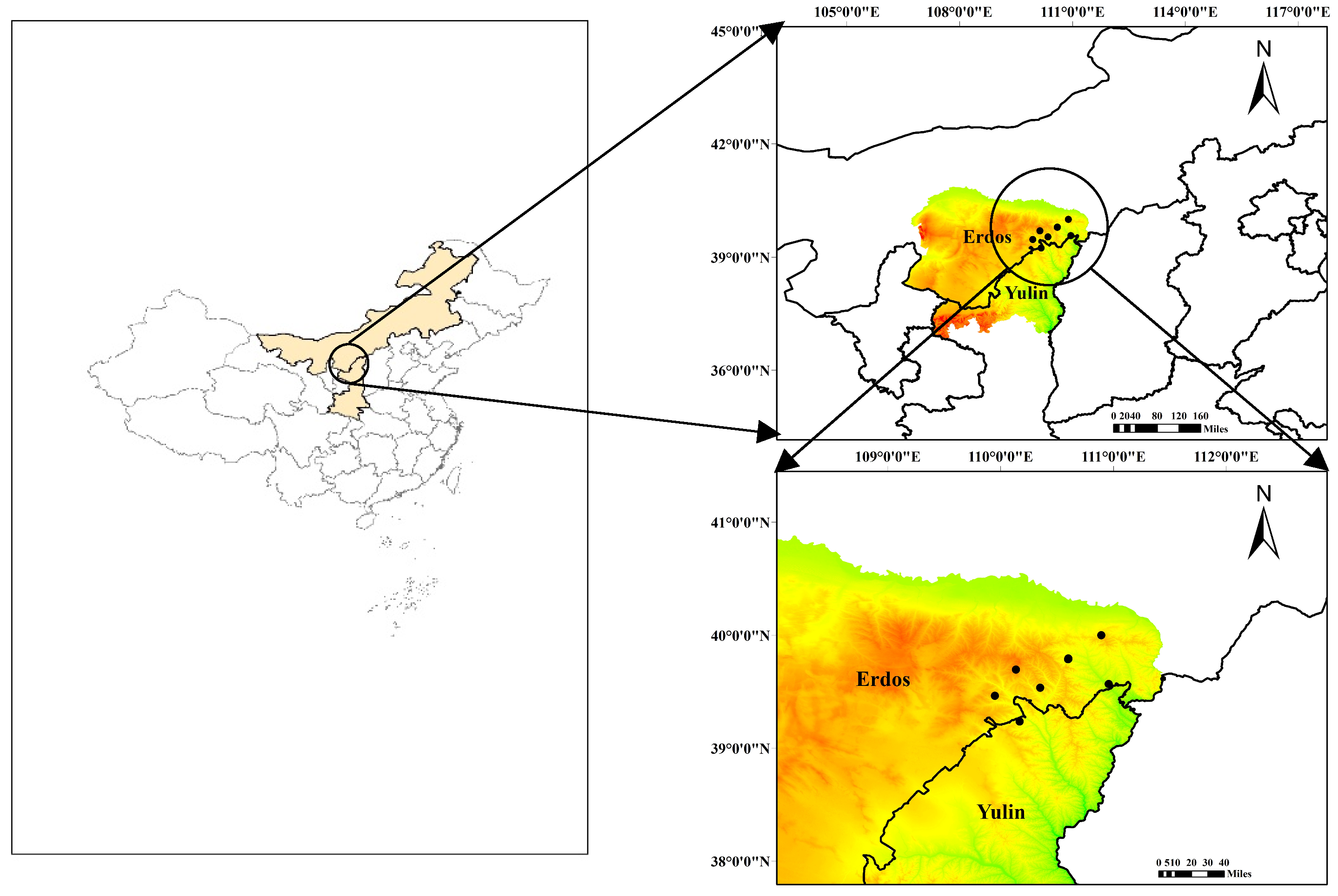 Forests 16 00699 g001