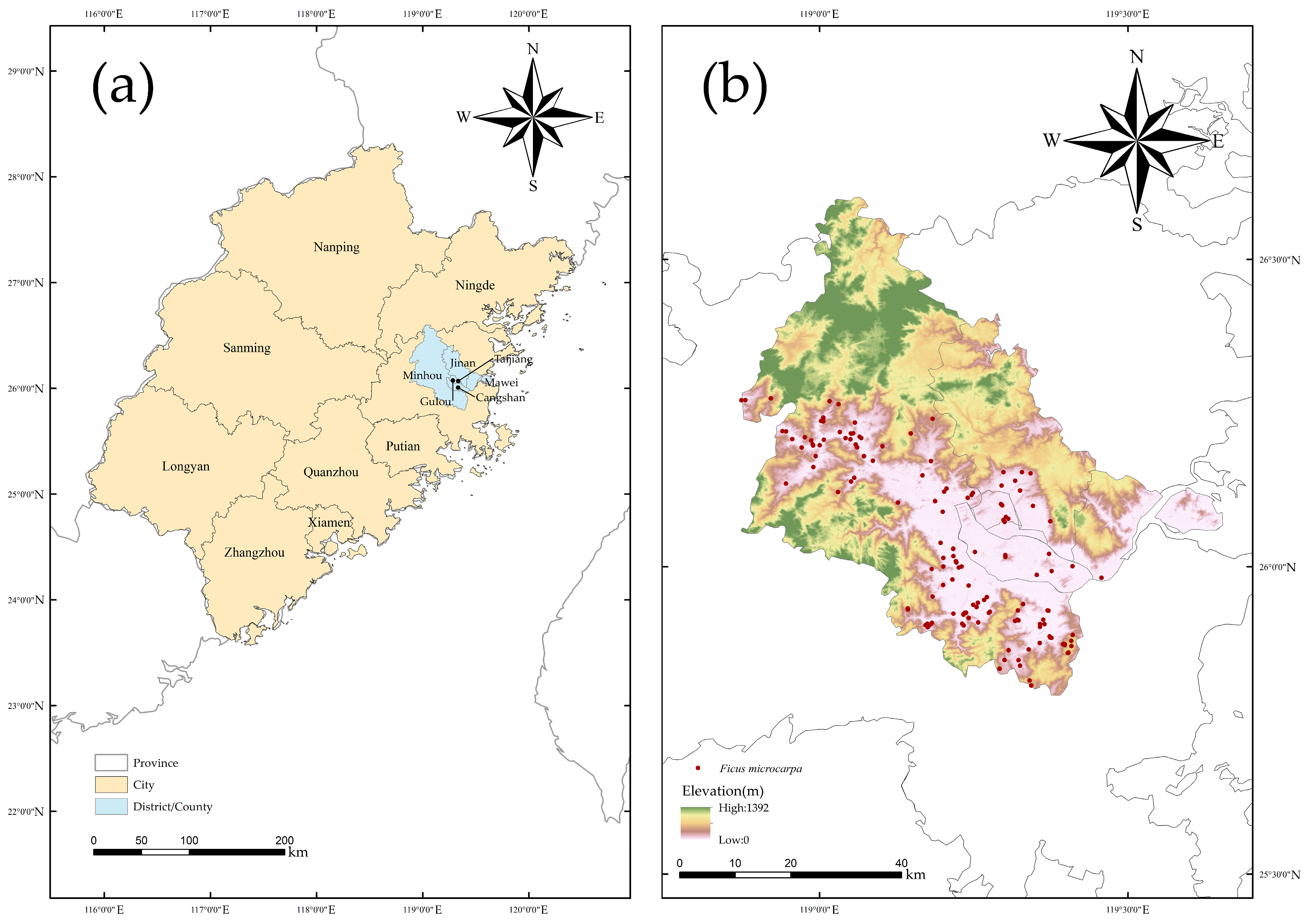 Forests 16 00703 g001