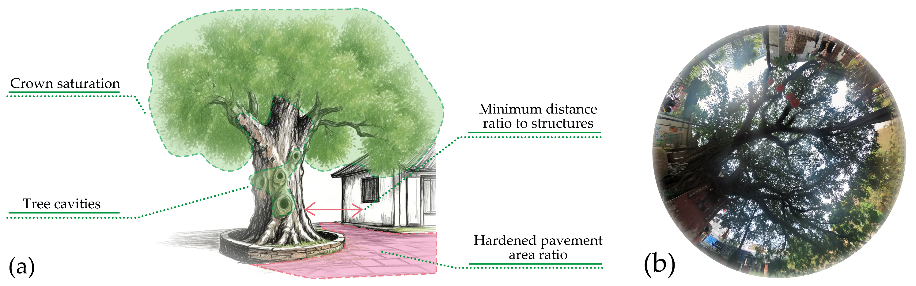 Forests 16 00703 g002
