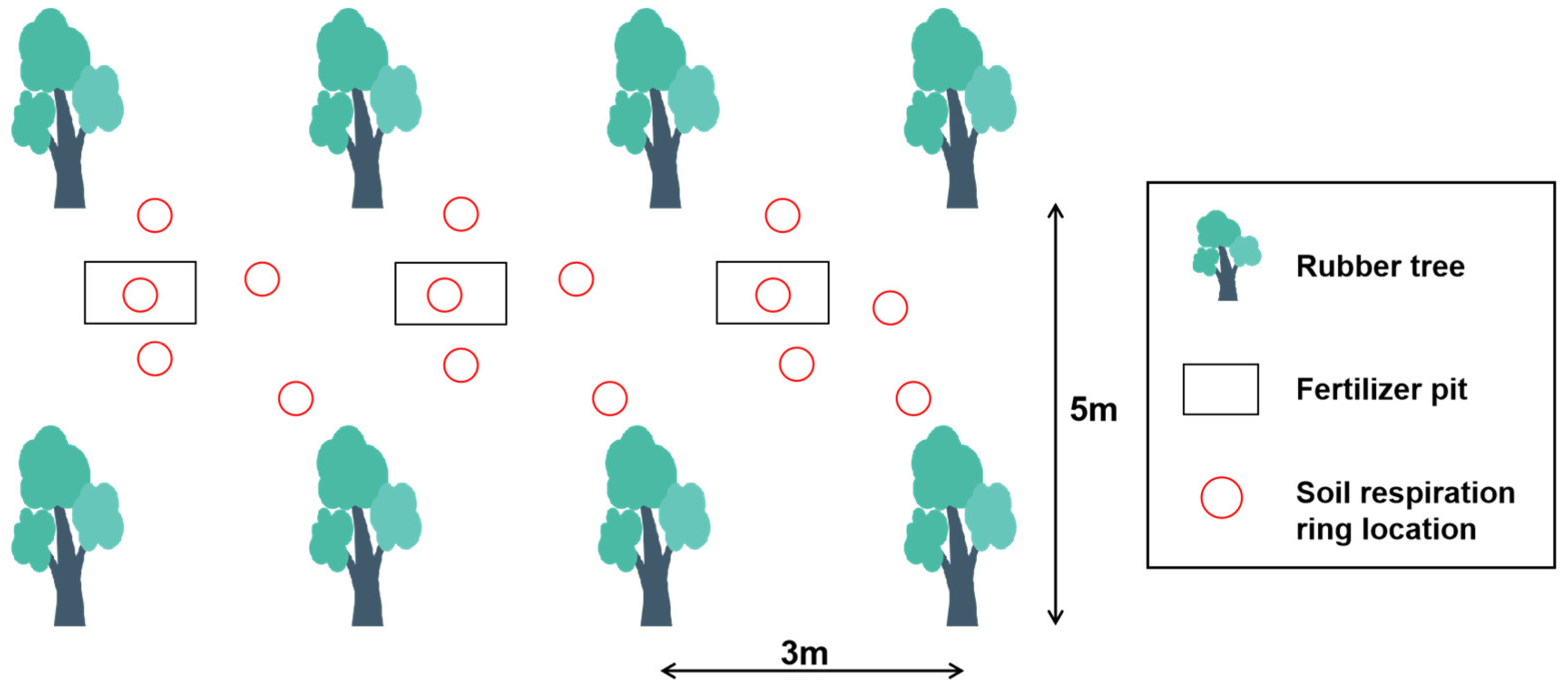 Forests 16 00706 g001