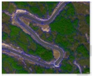 Forests 16 00707 i023