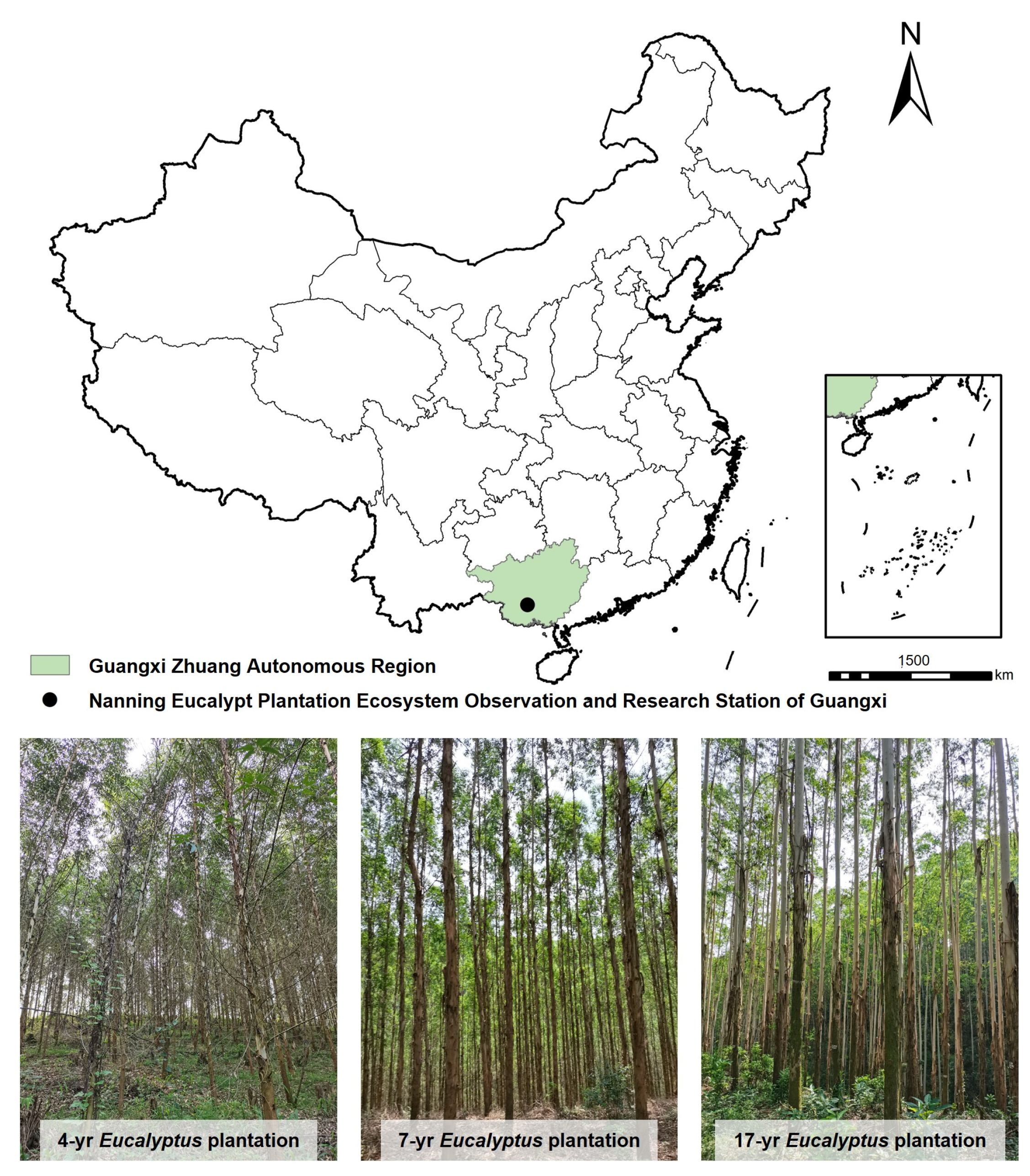 Forests 16 00708 g001