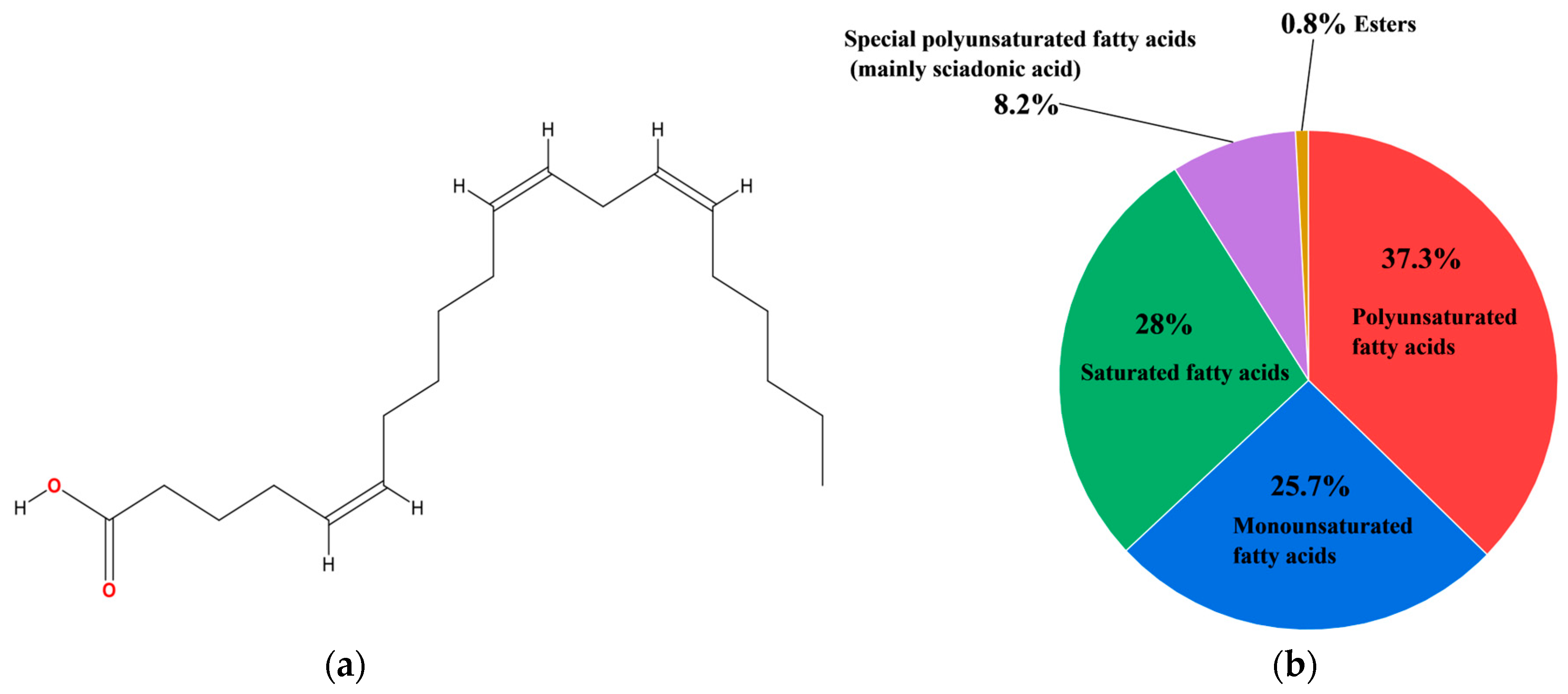 Forests 16 00737 g001