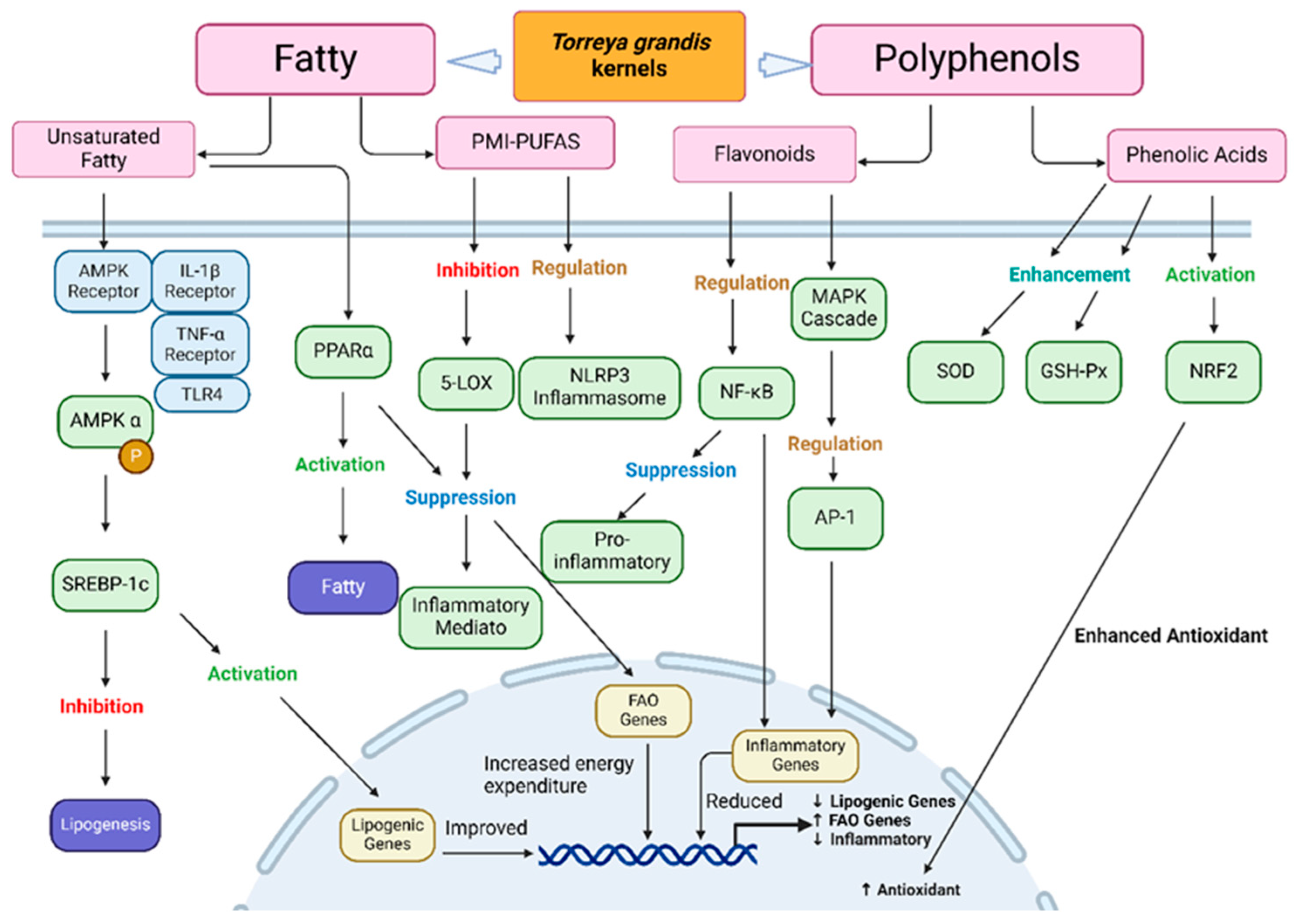 Forests 16 00737 g005