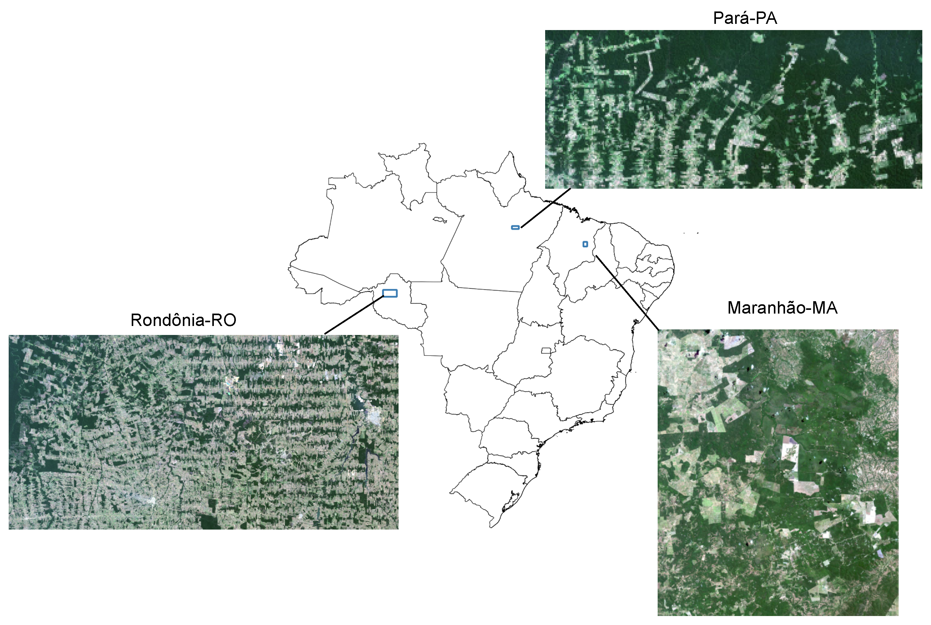 Forests 16 00742 g005 Forests 16 00742 g005