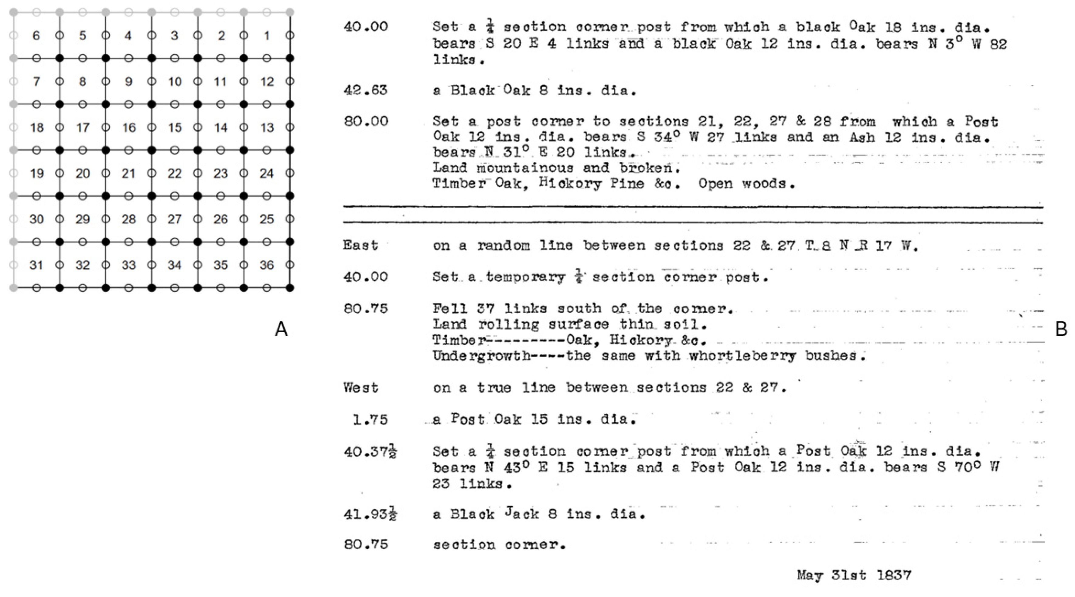 Forests 16 00748 g002