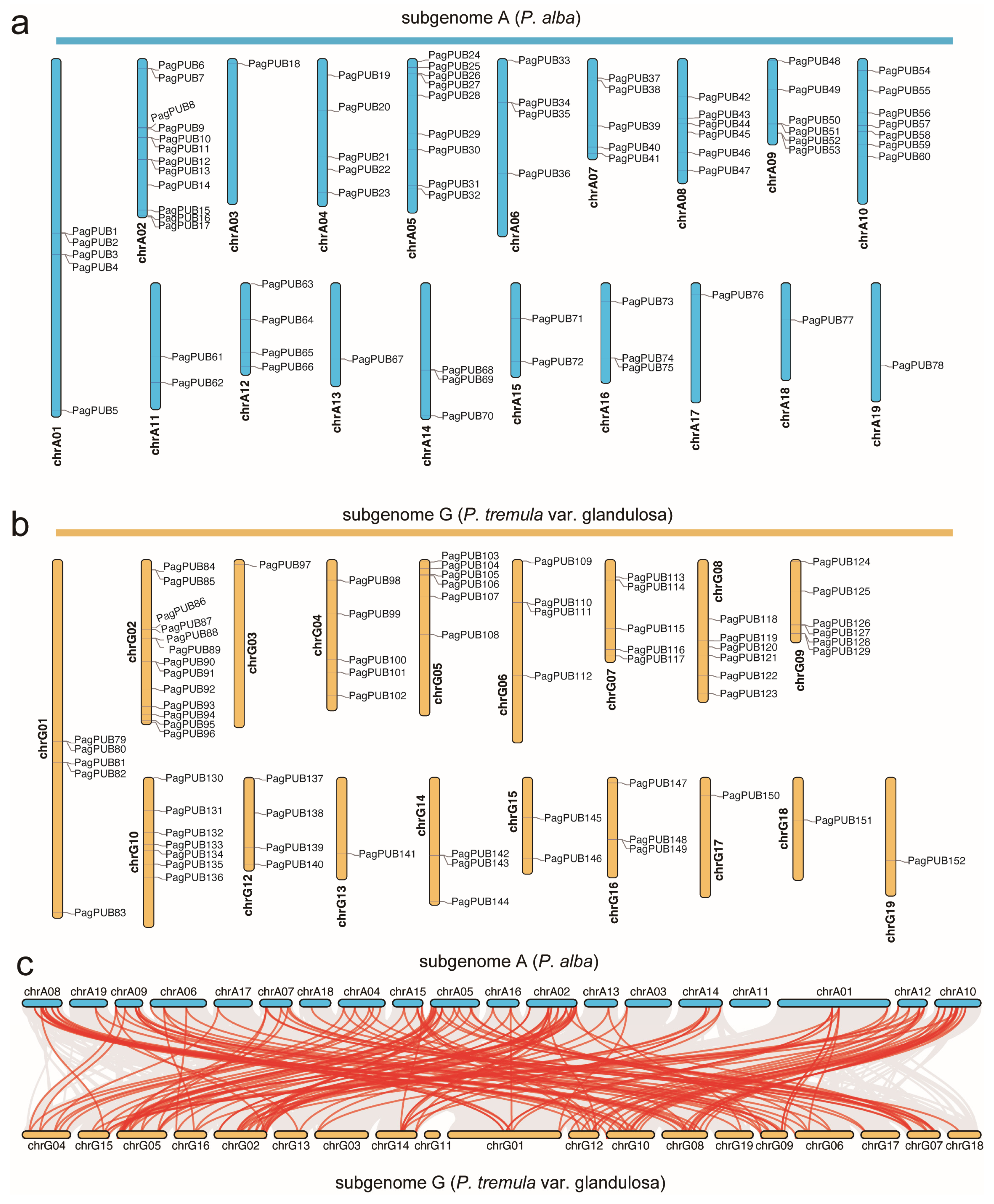 Forests 16 00749 g001