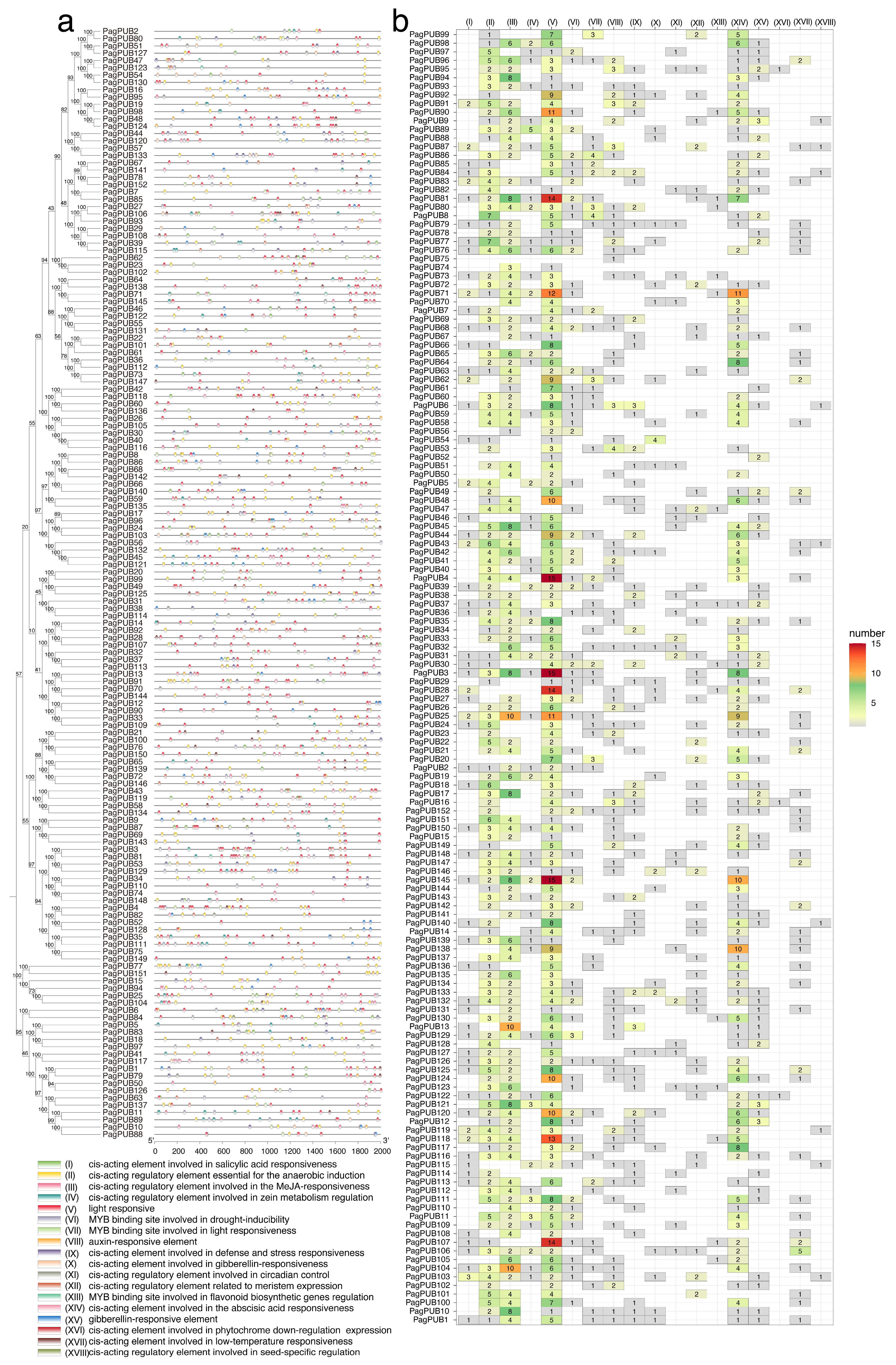 Forests 16 00749 g004