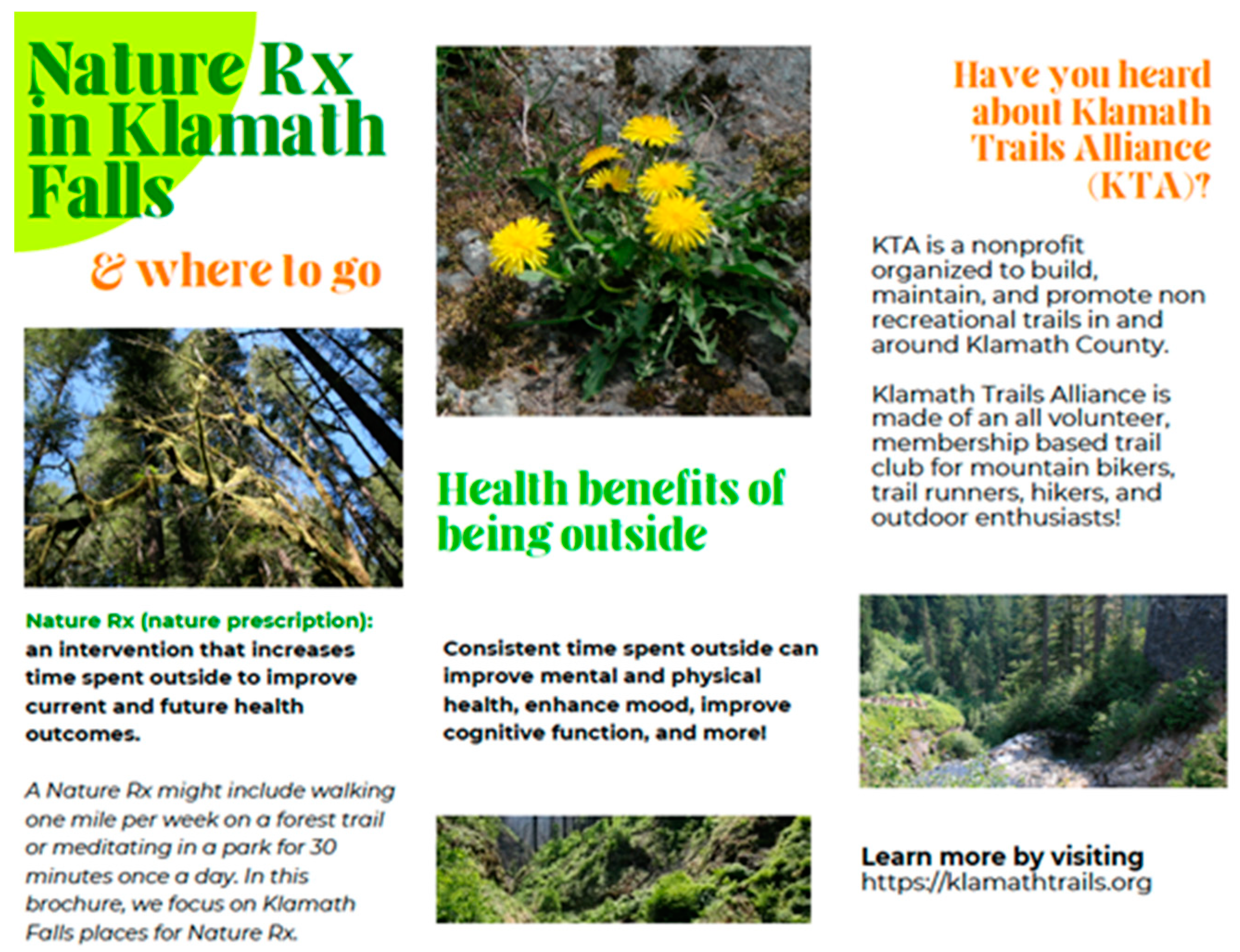 Forests 16 00752 g004