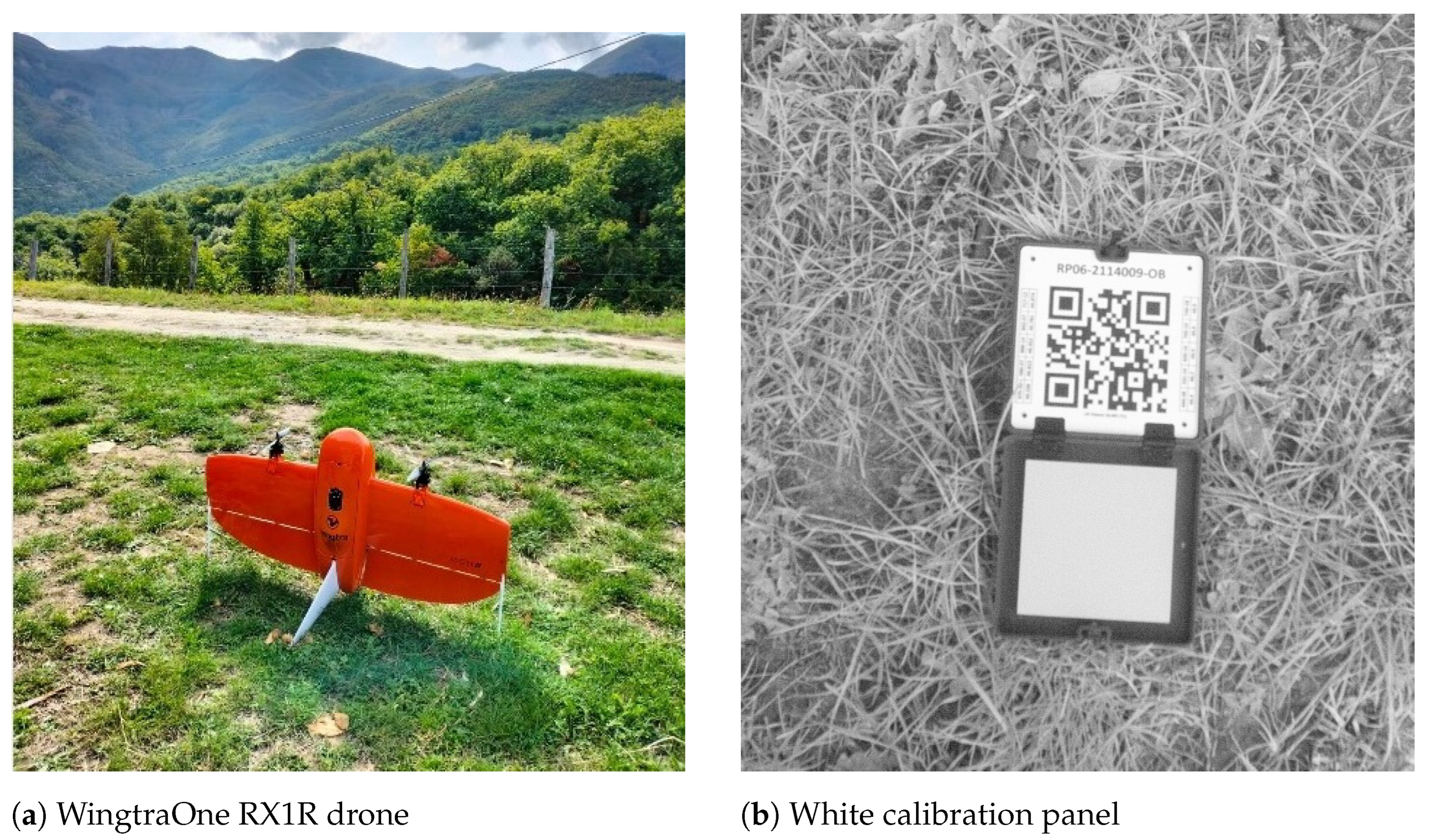 Forests 16 00754 g003 Forests 16 00754 g003