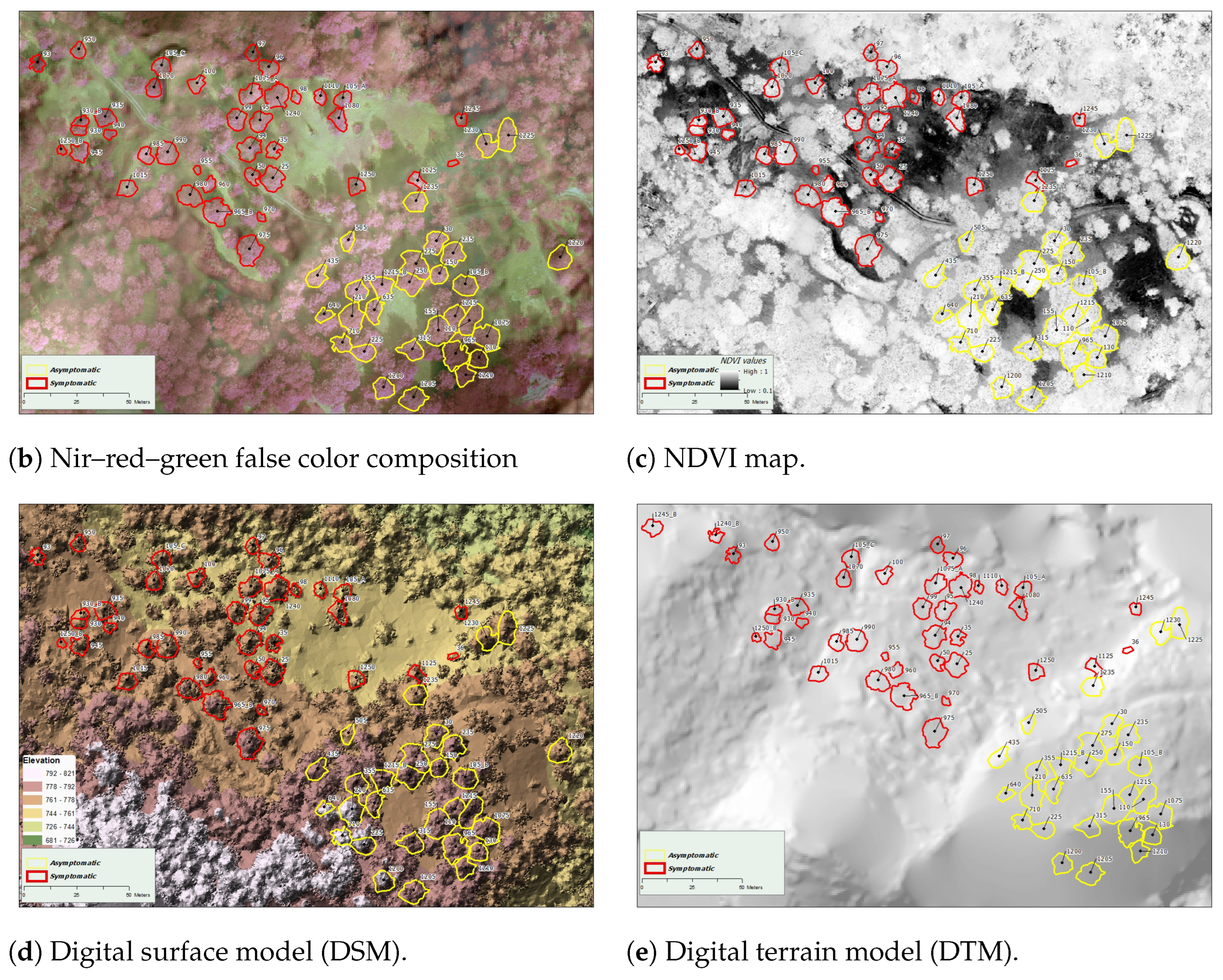 Forests 16 00754 g004b Forests 16 00754 g004b