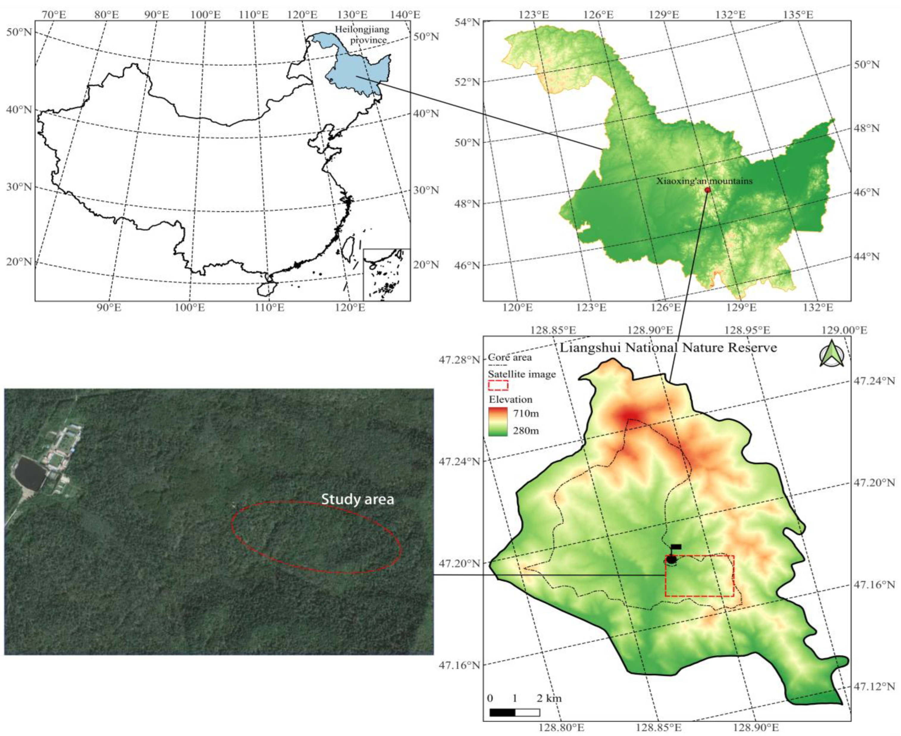 Forests 16 00757 g001