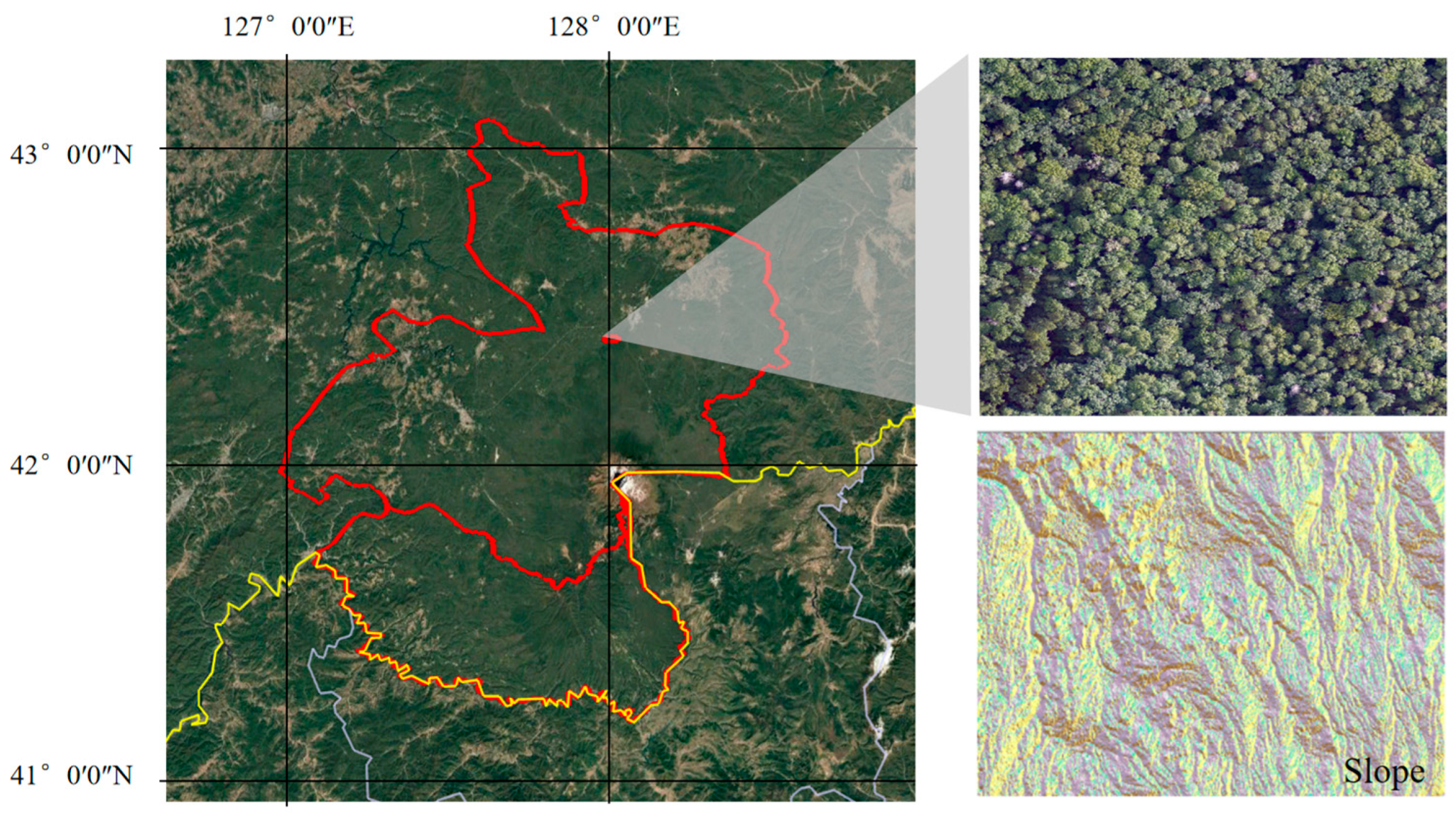 Forests 16 00768 g001 Forests 16 00768 g001