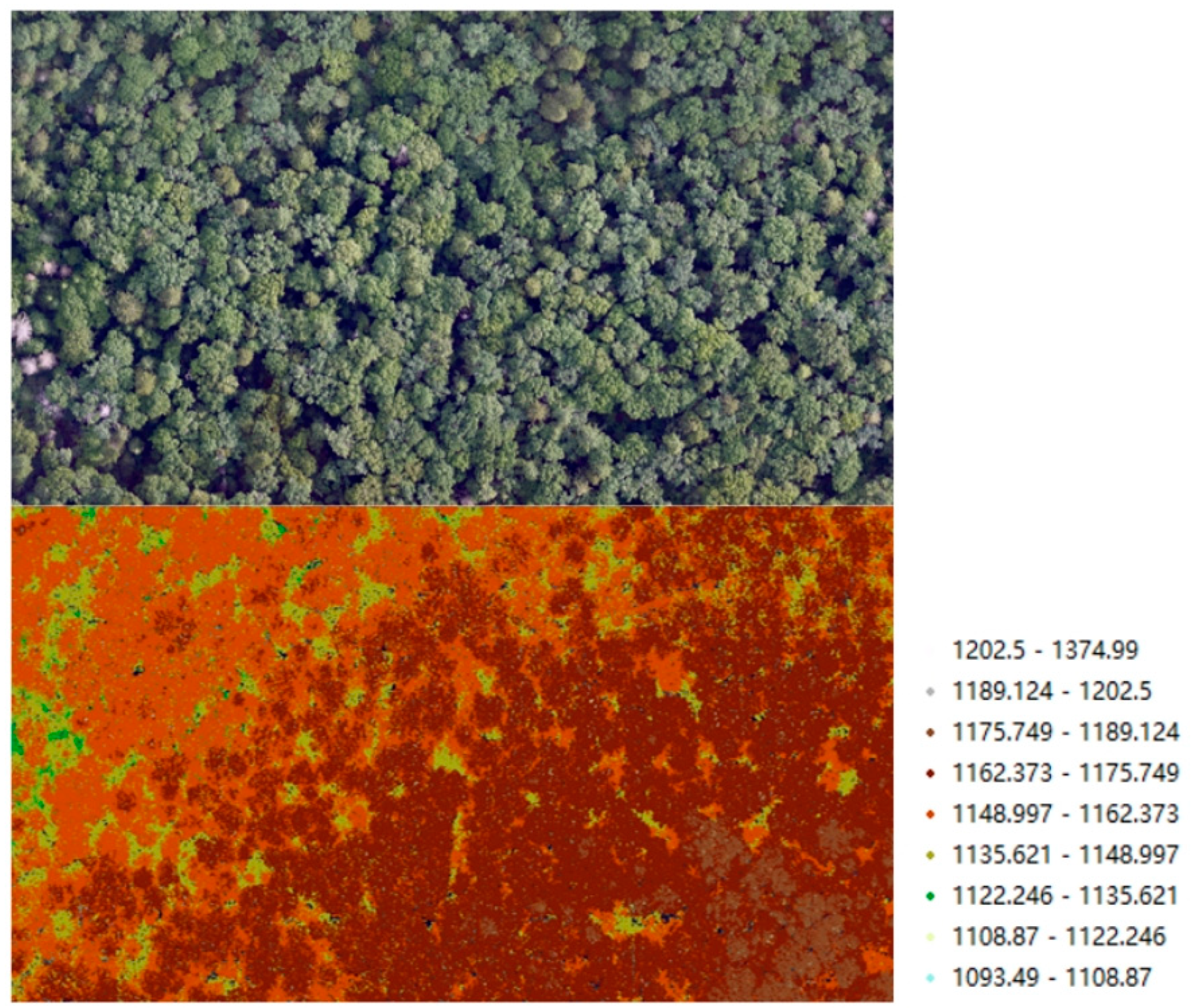Forests 16 00768 g002 Forests 16 00768 g002