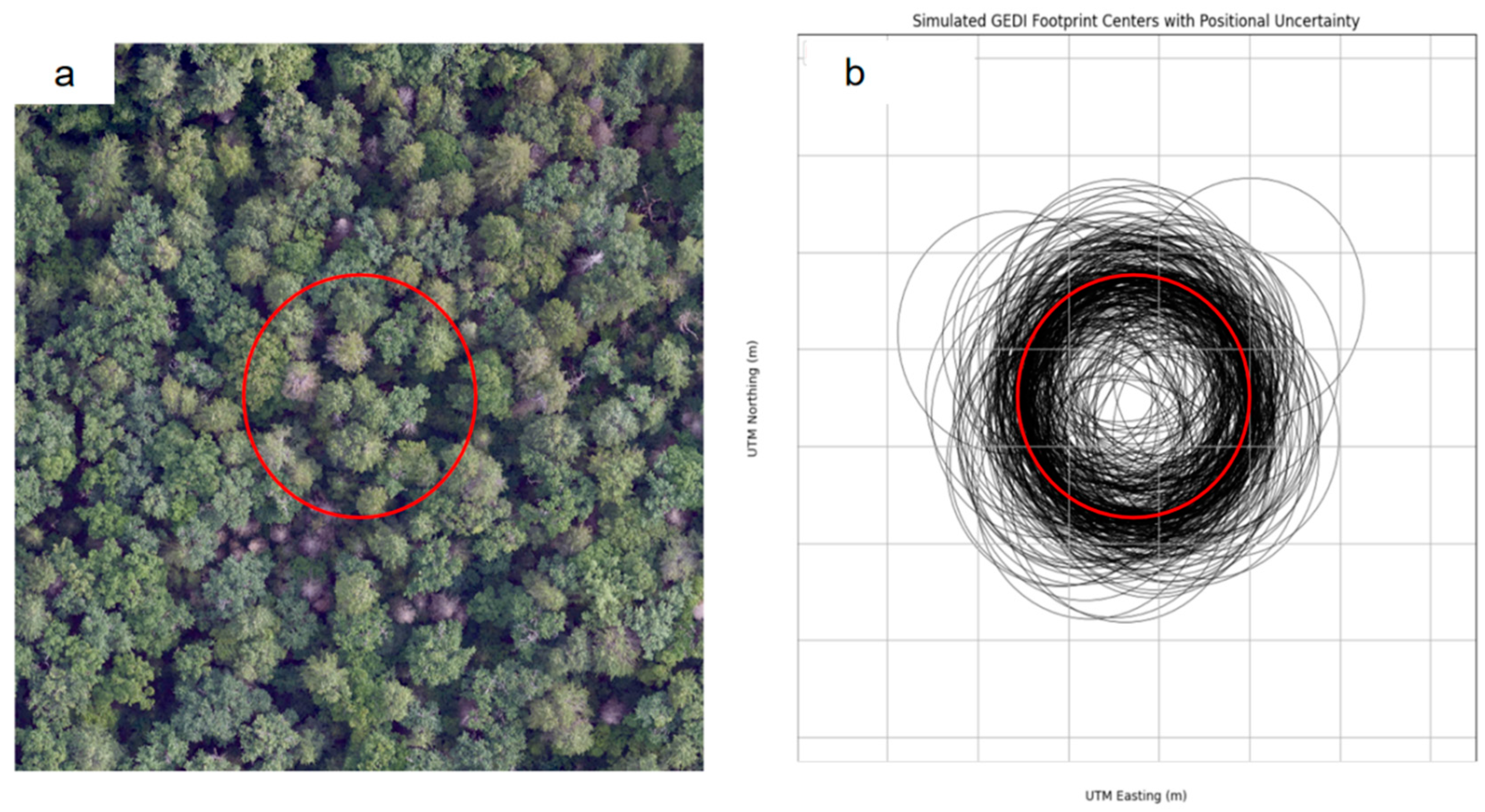 Forests 16 00768 g005 Forests 16 00768 g005