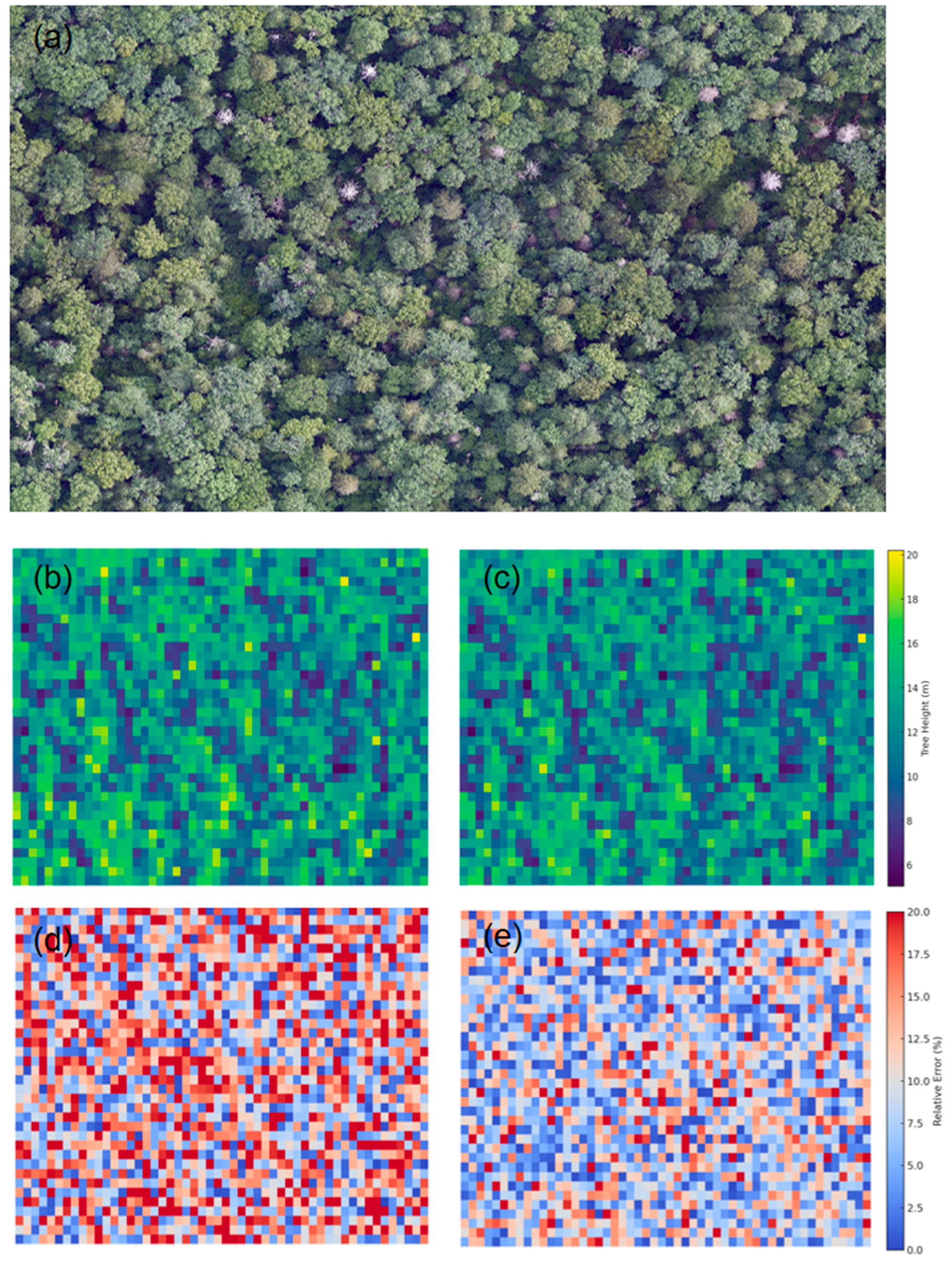 Forests 16 00768 g012 Forests 16 00768 g012