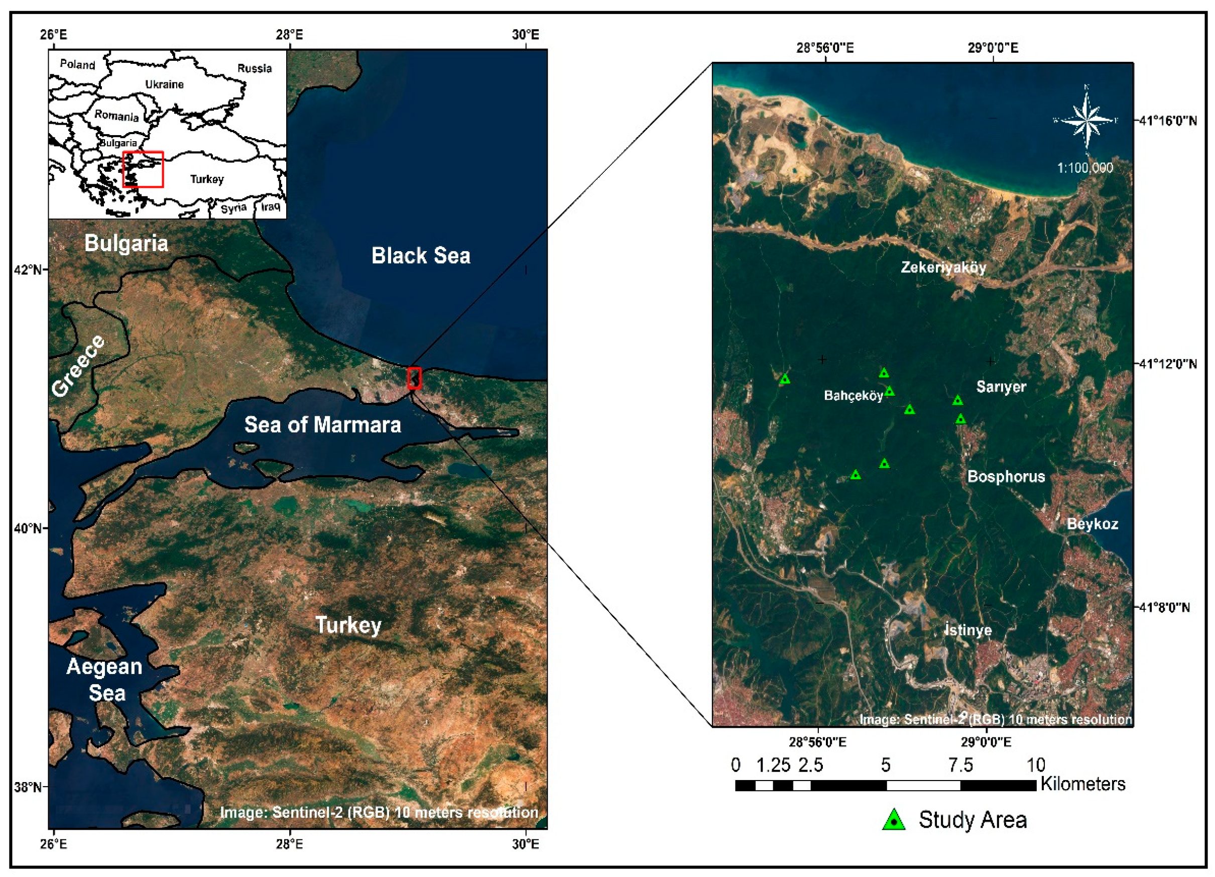 Forests 16 00786 g001