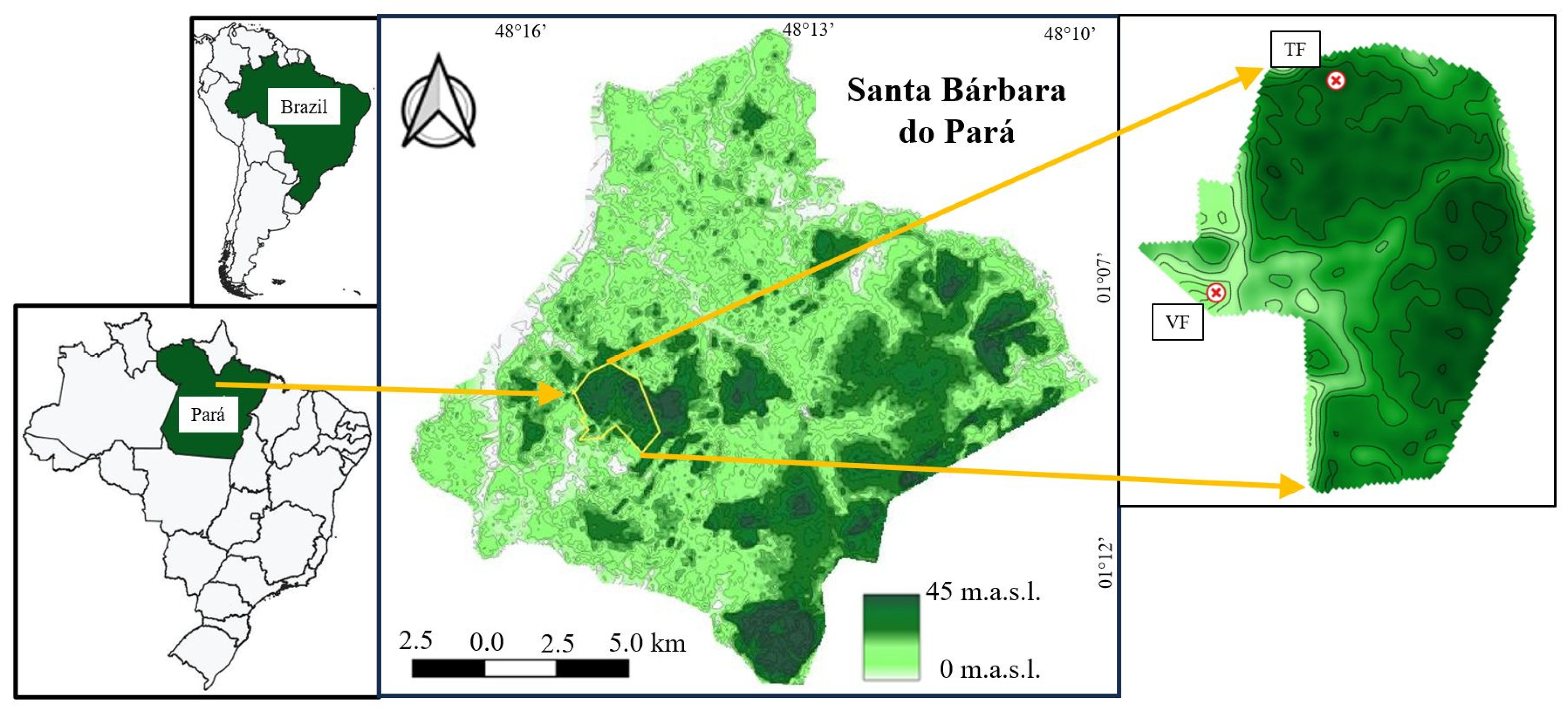 Forests 16 00793 g001