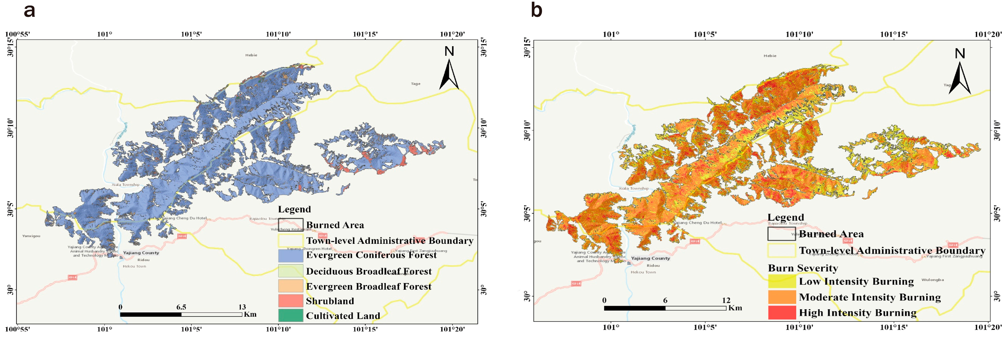 Forests 16 00803 g002
