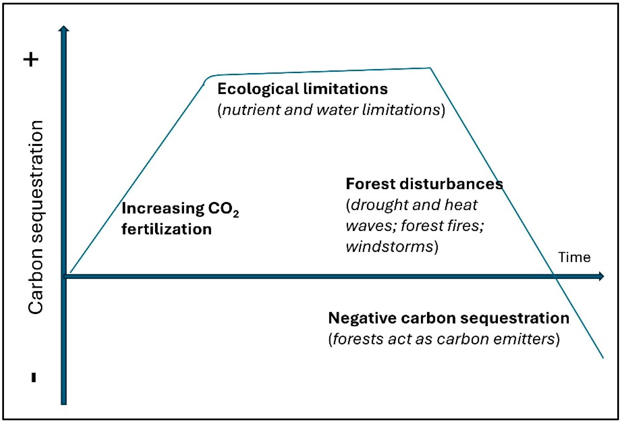 Forests 16 00810 g002