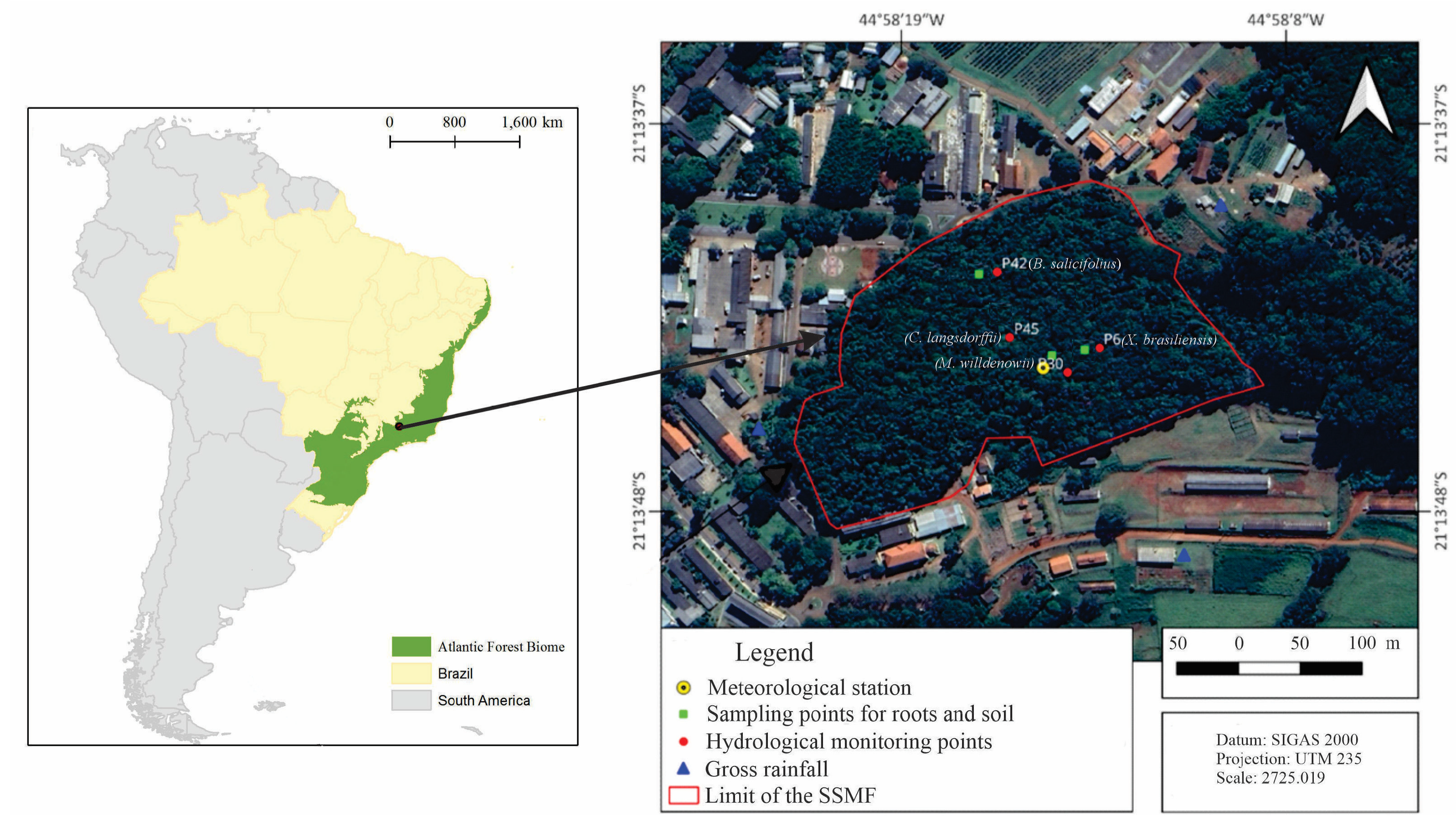 Forests 16 00812 g001