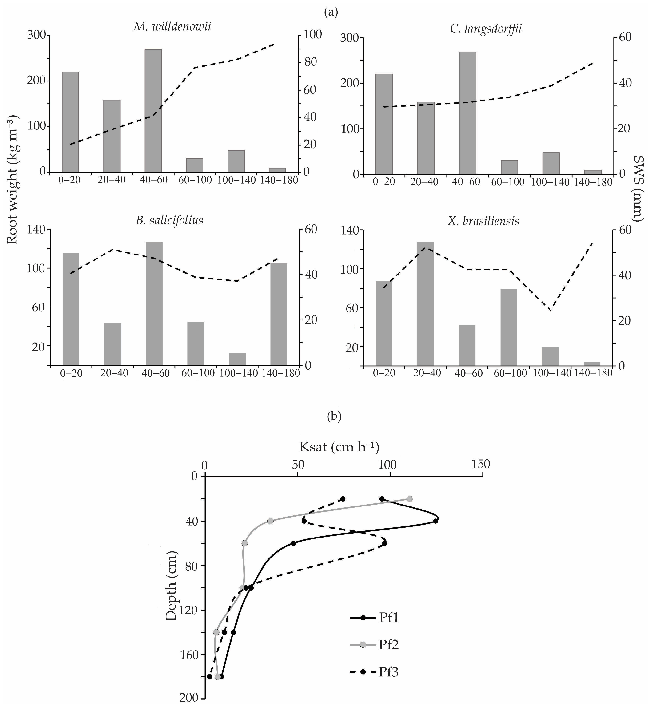 Forests 16 00812 g008
