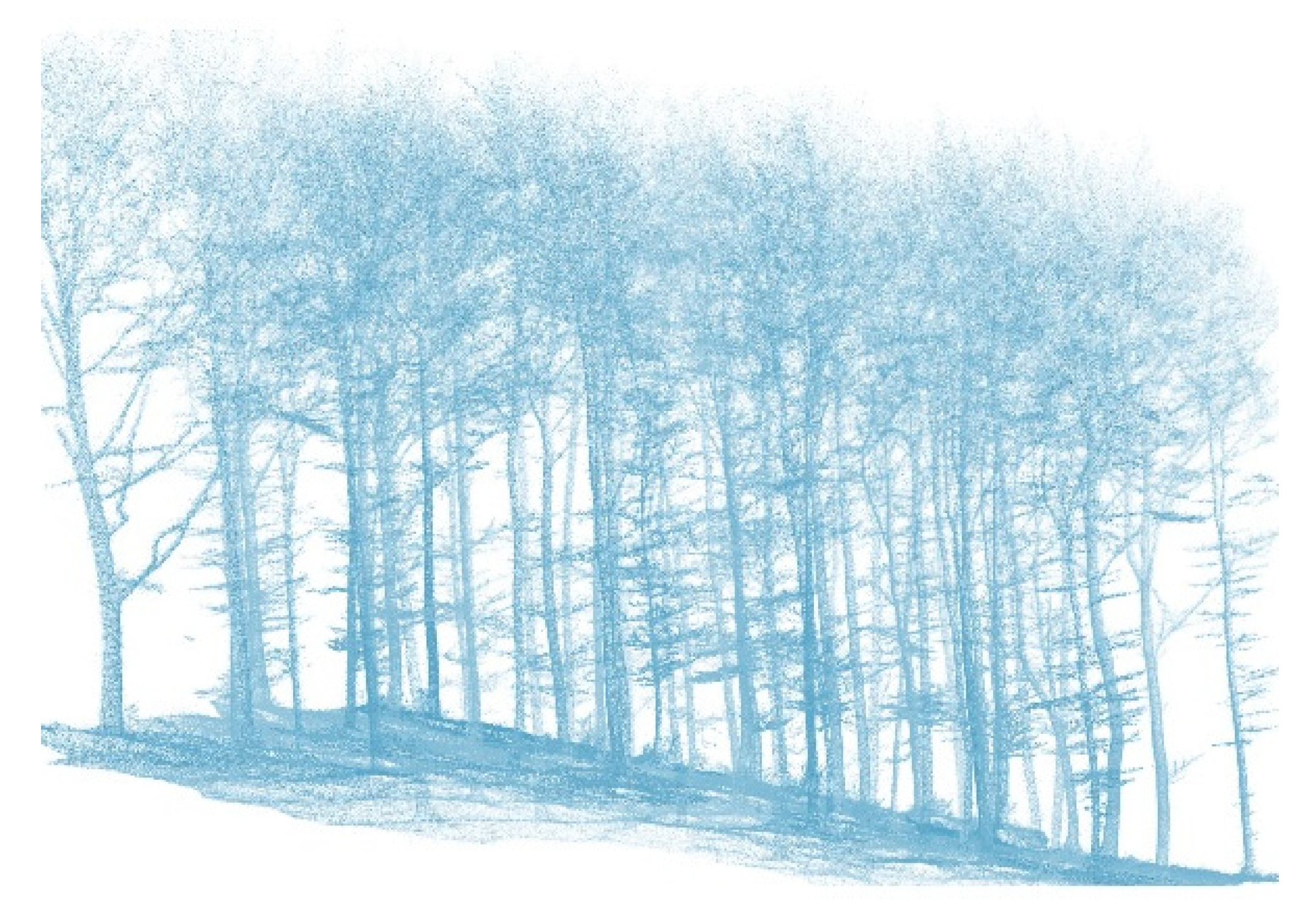 Forests 16 00820 g004 Forests 16 00820 g004