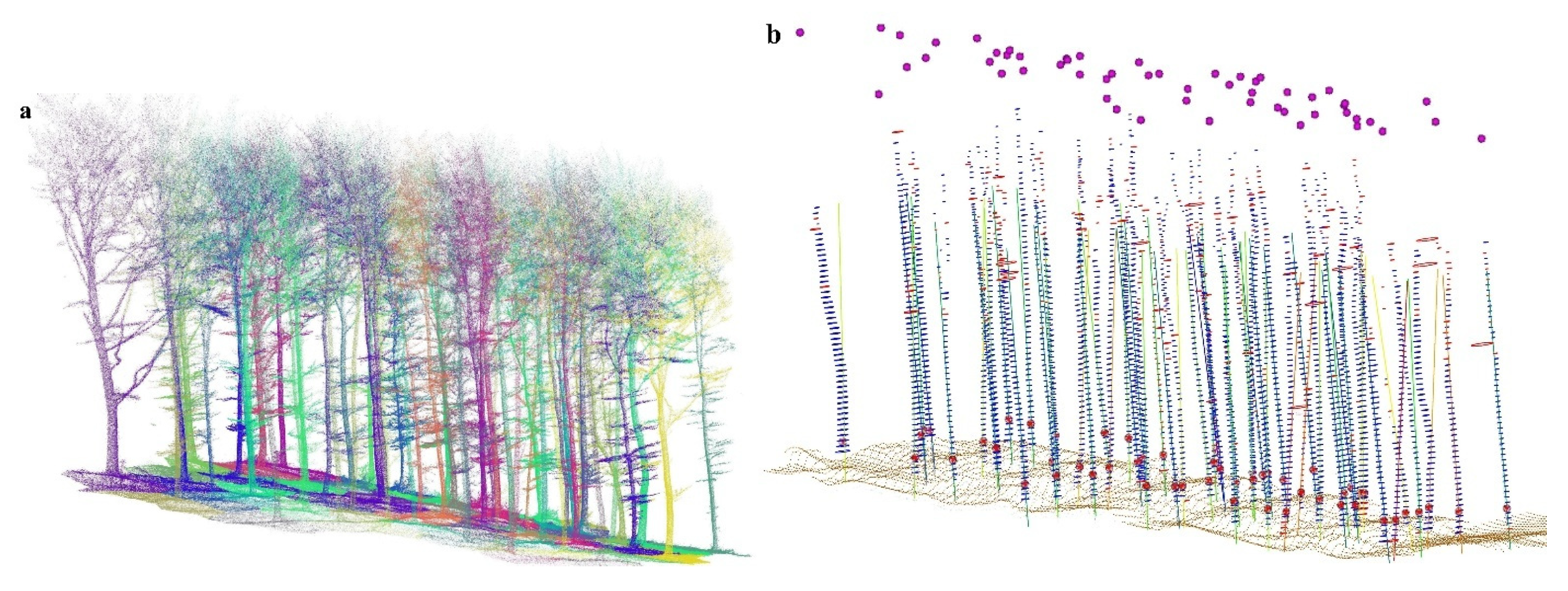 Forests 16 00820 g005 Forests 16 00820 g005