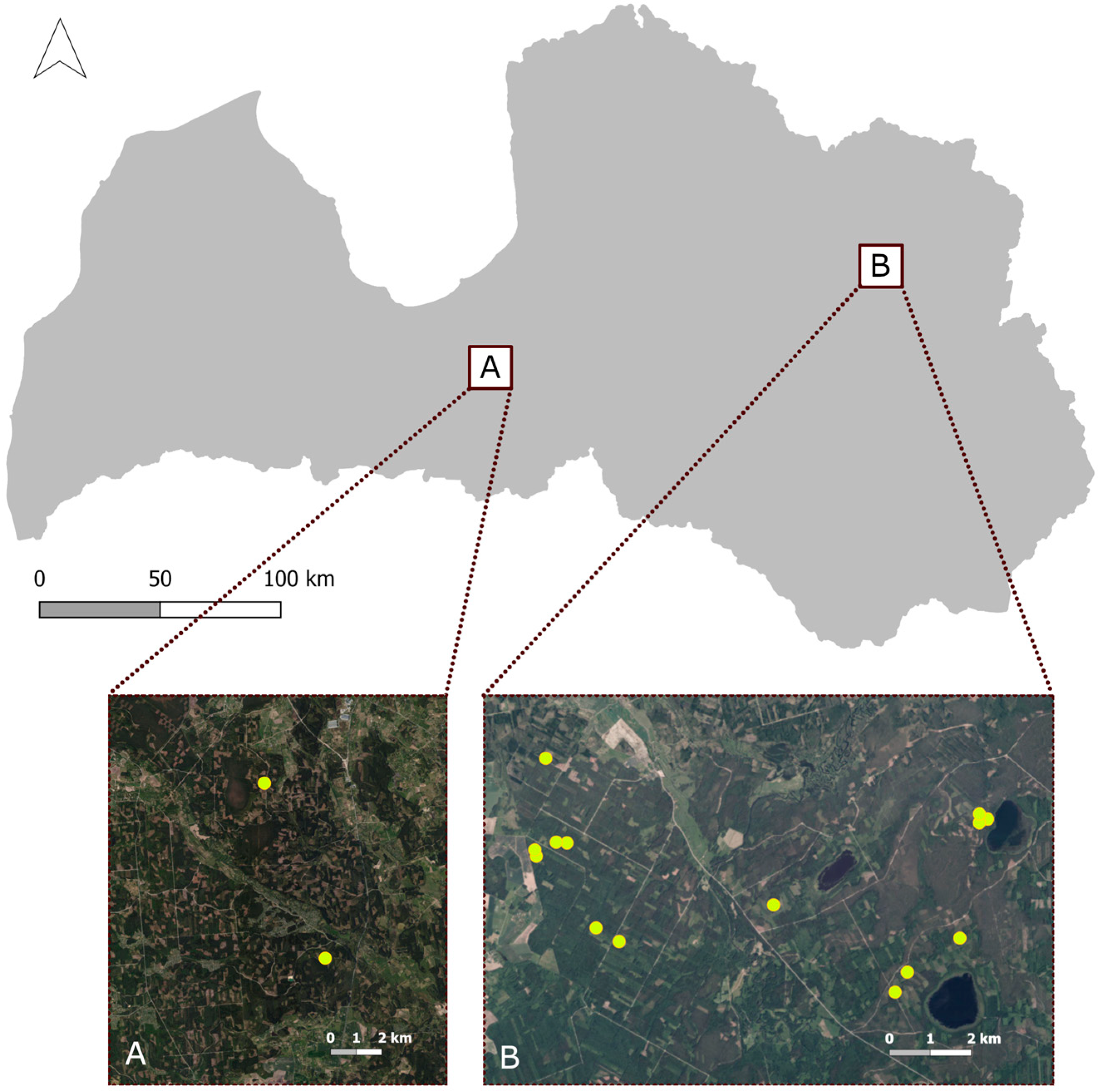 Forests 16 00830 g001 Forests 16 00830 g001