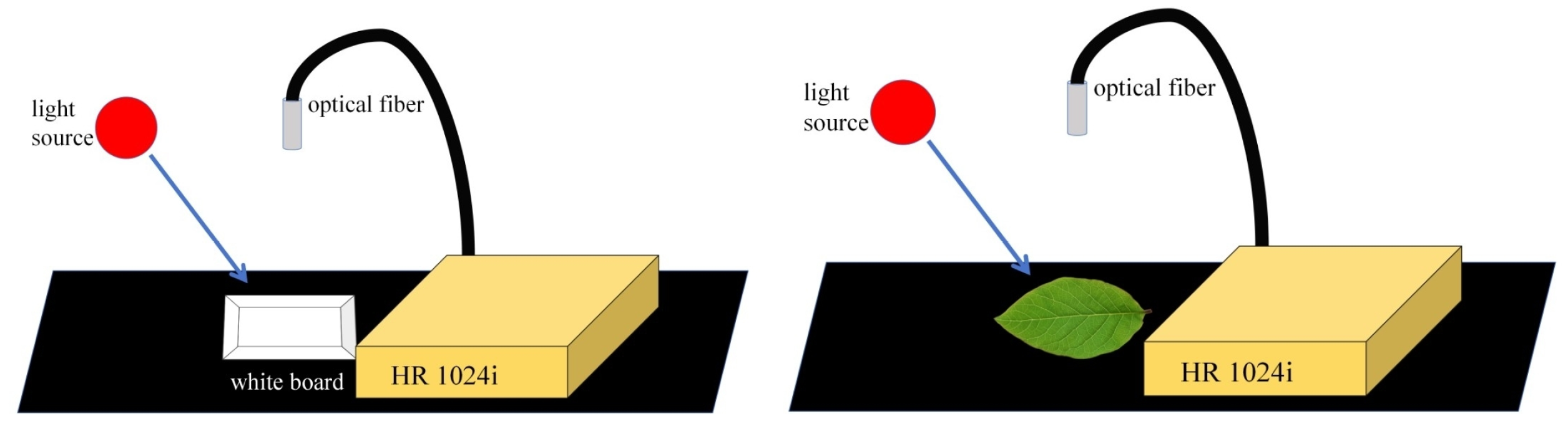 Forests 16 00838 g004