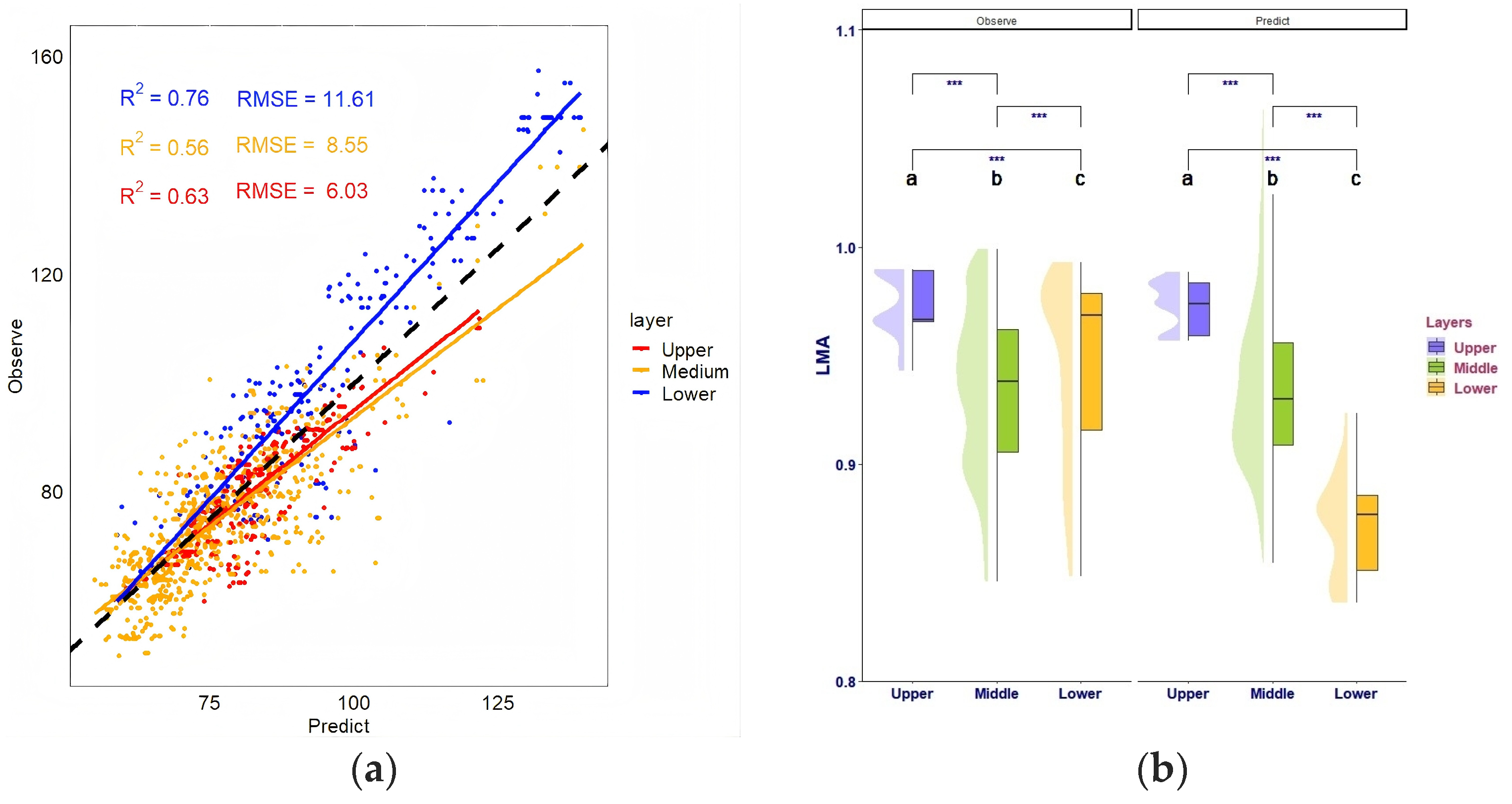 Forests 16 00838 g014