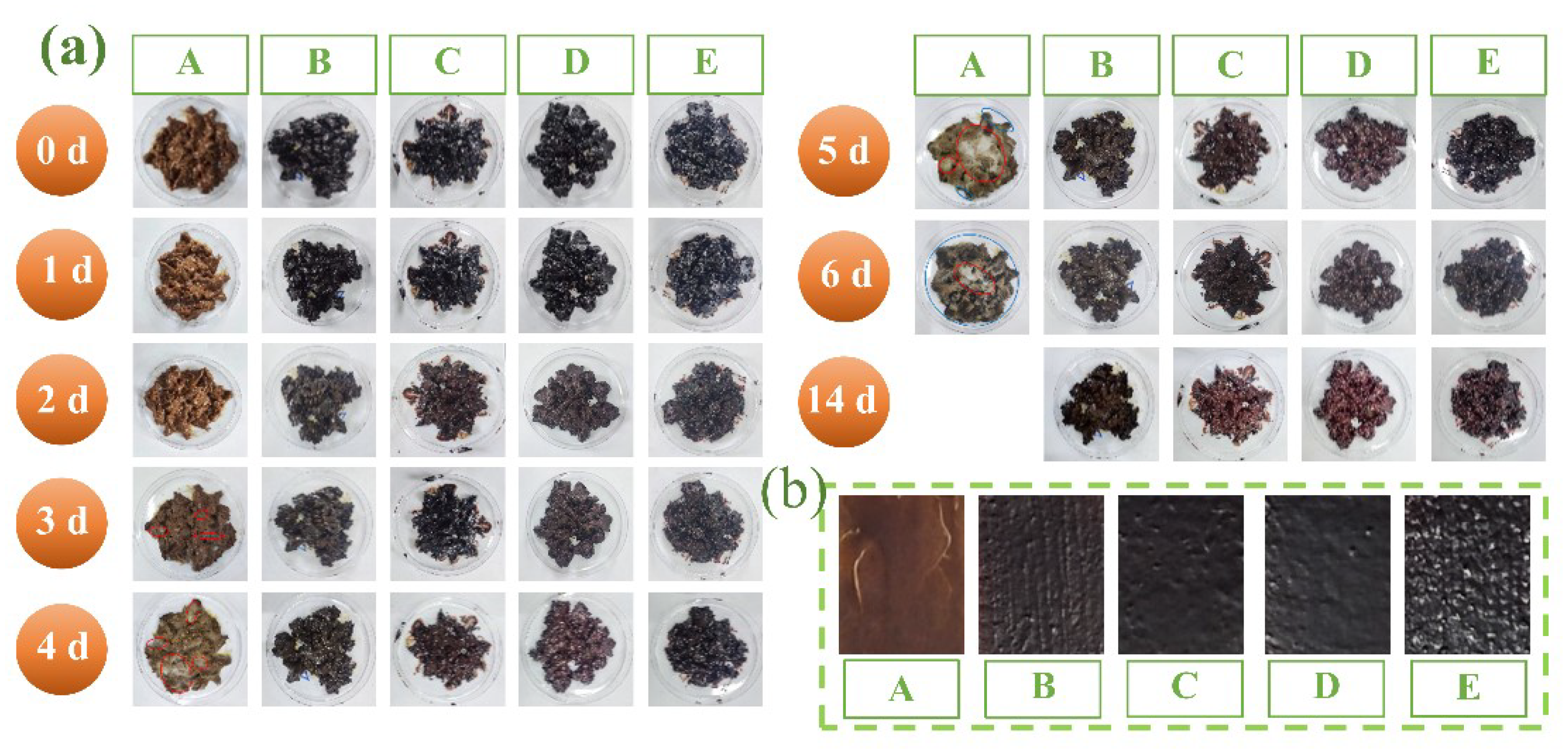 Forests 16 00853 g007