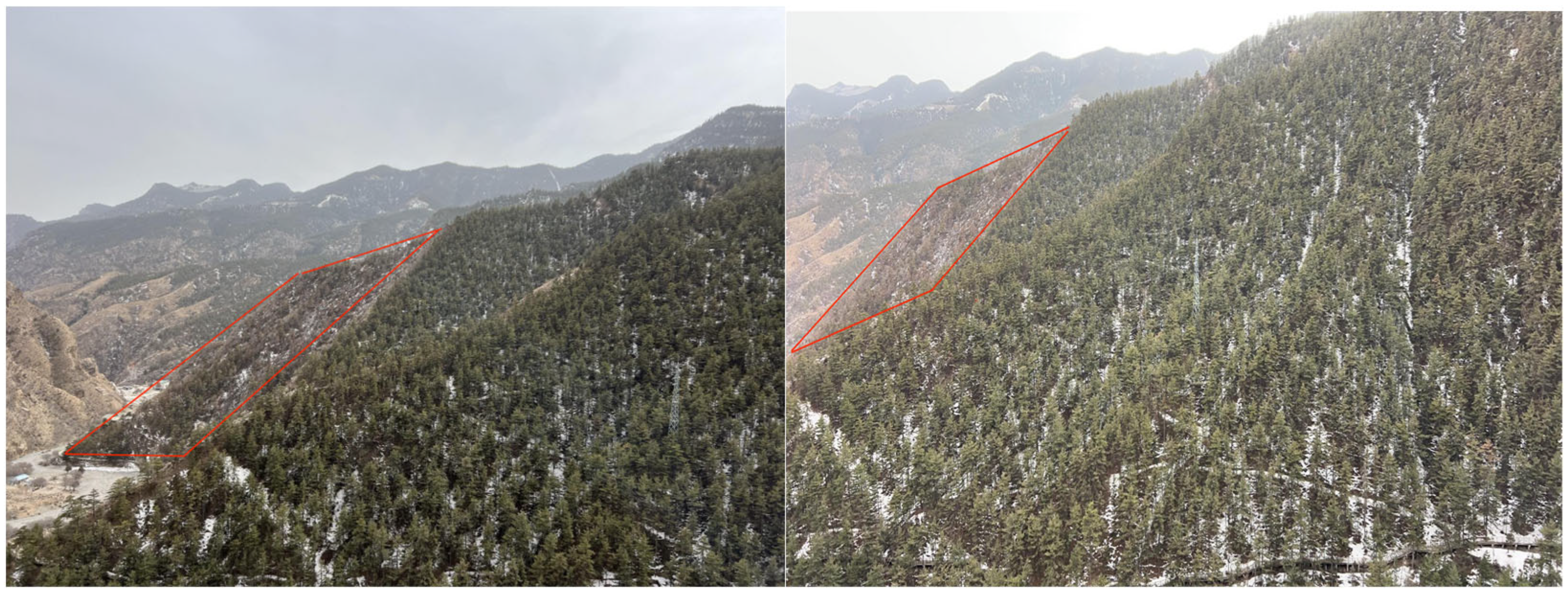 Forests 16 00866 g008