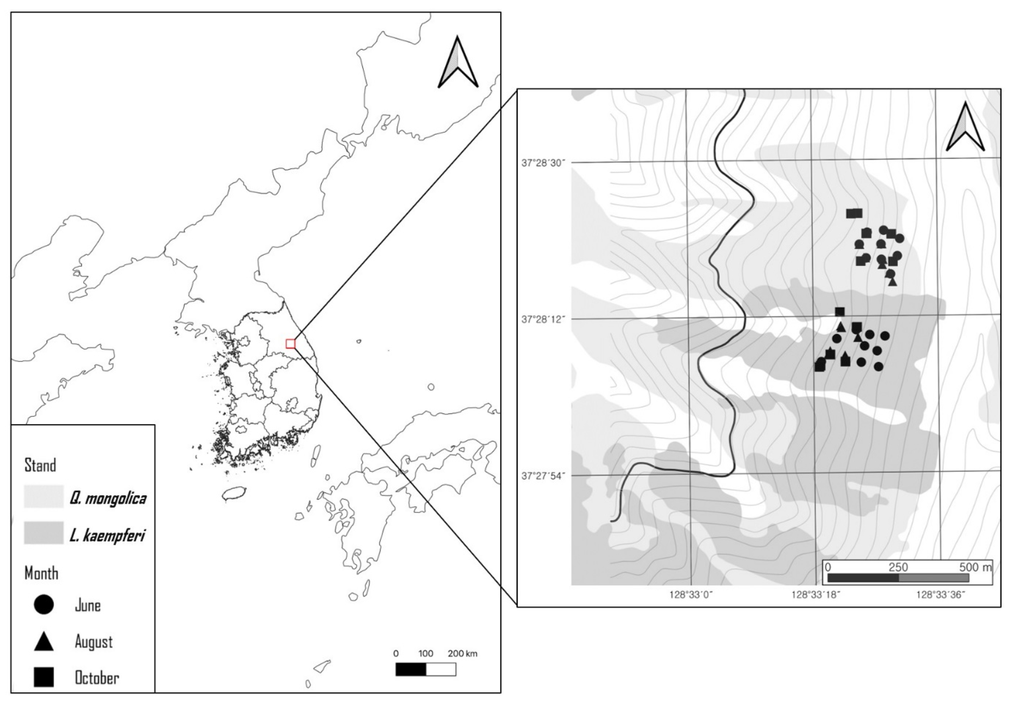 Forests 16 00883 g001