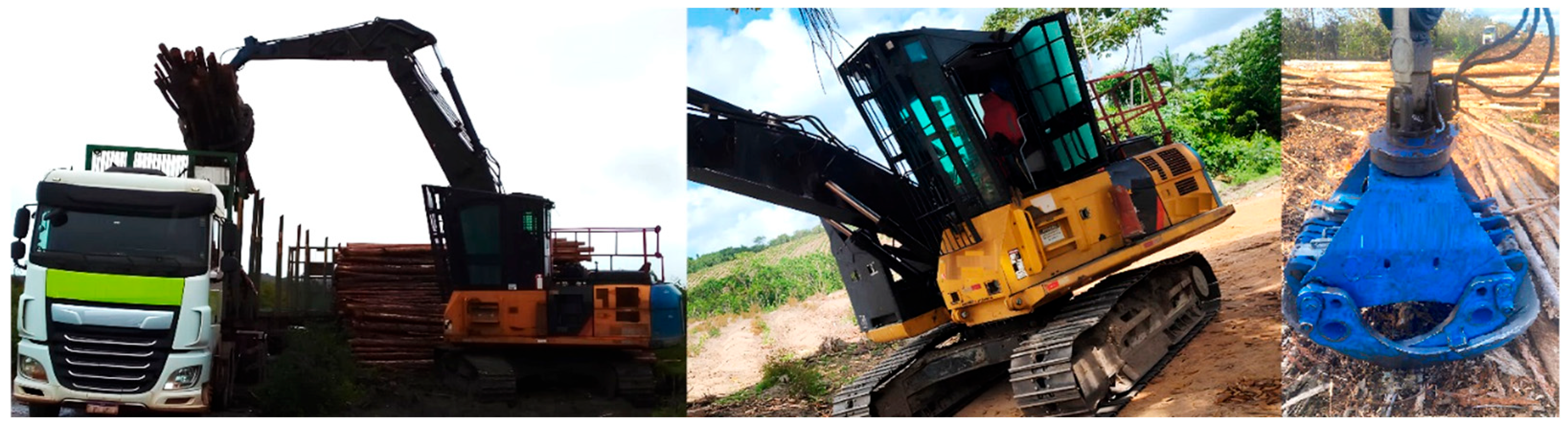 Forests 16 00913 g001