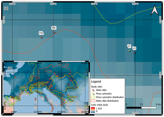 Forests 16 00921 g001