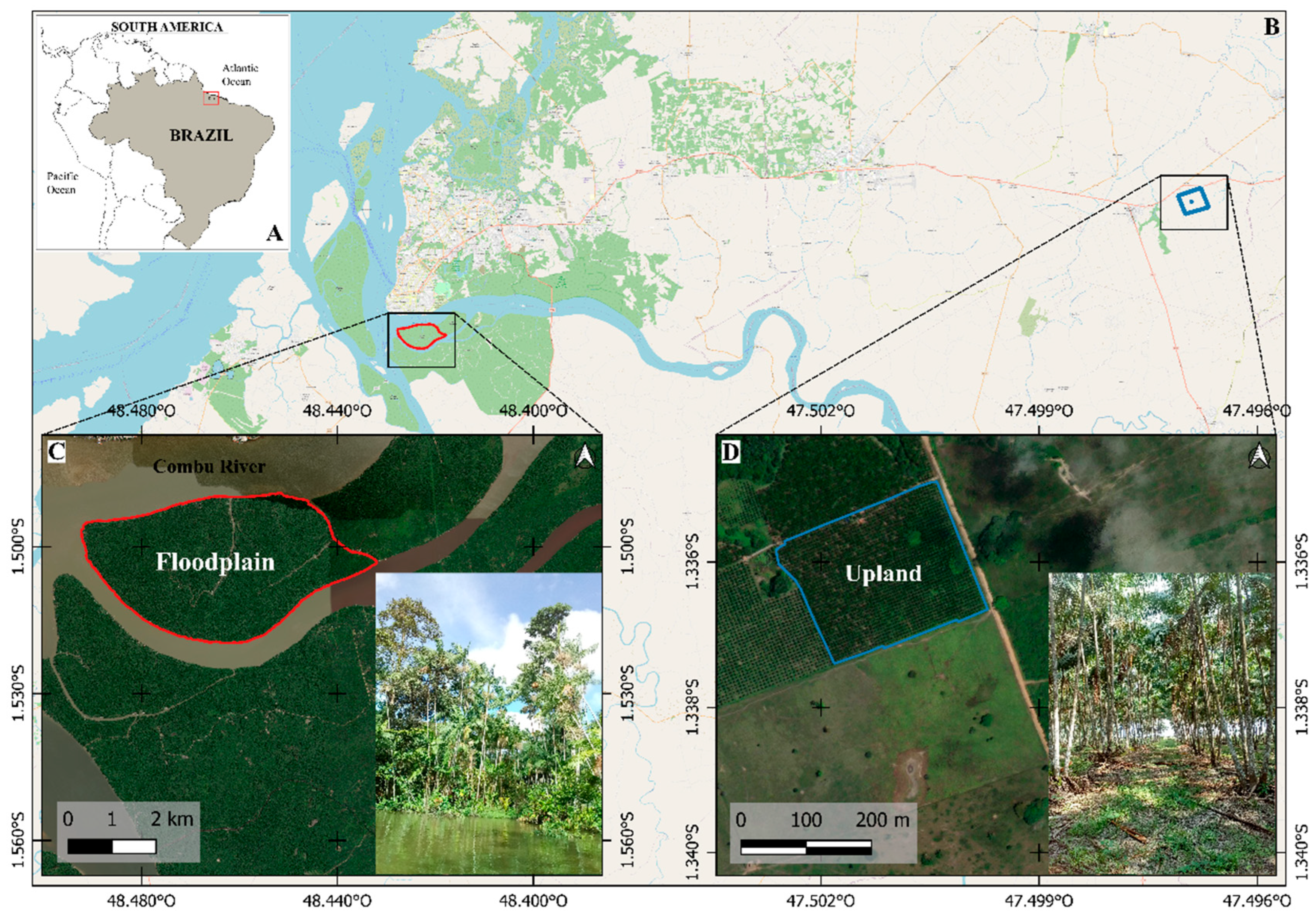 Forests 16 00944 g001 Forests 16 00944 g001