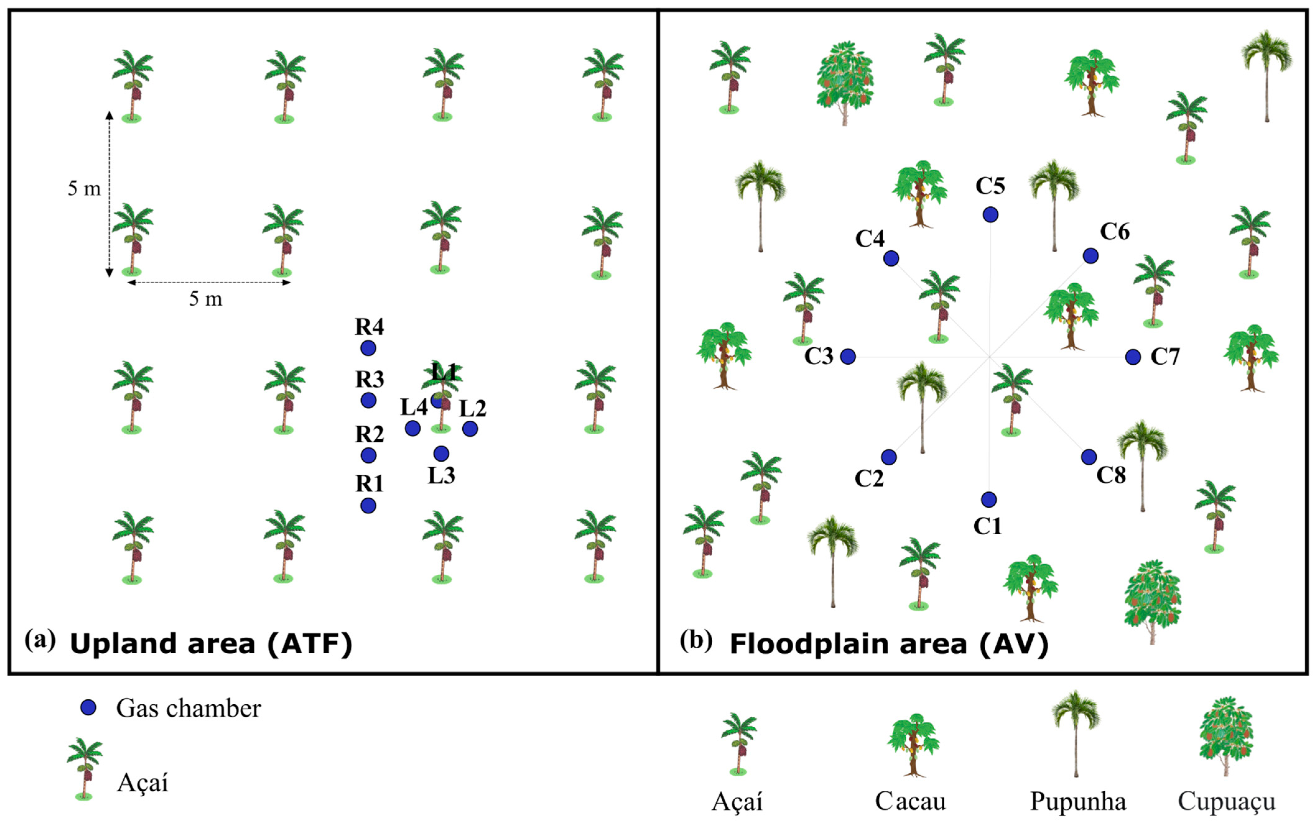 Forests 16 00944 g002 Forests 16 00944 g002