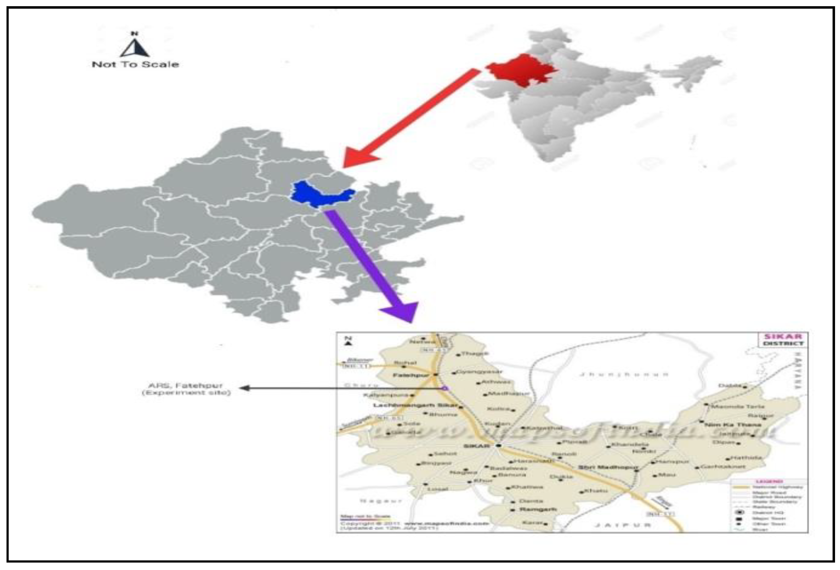 Forests 16 00946 g001