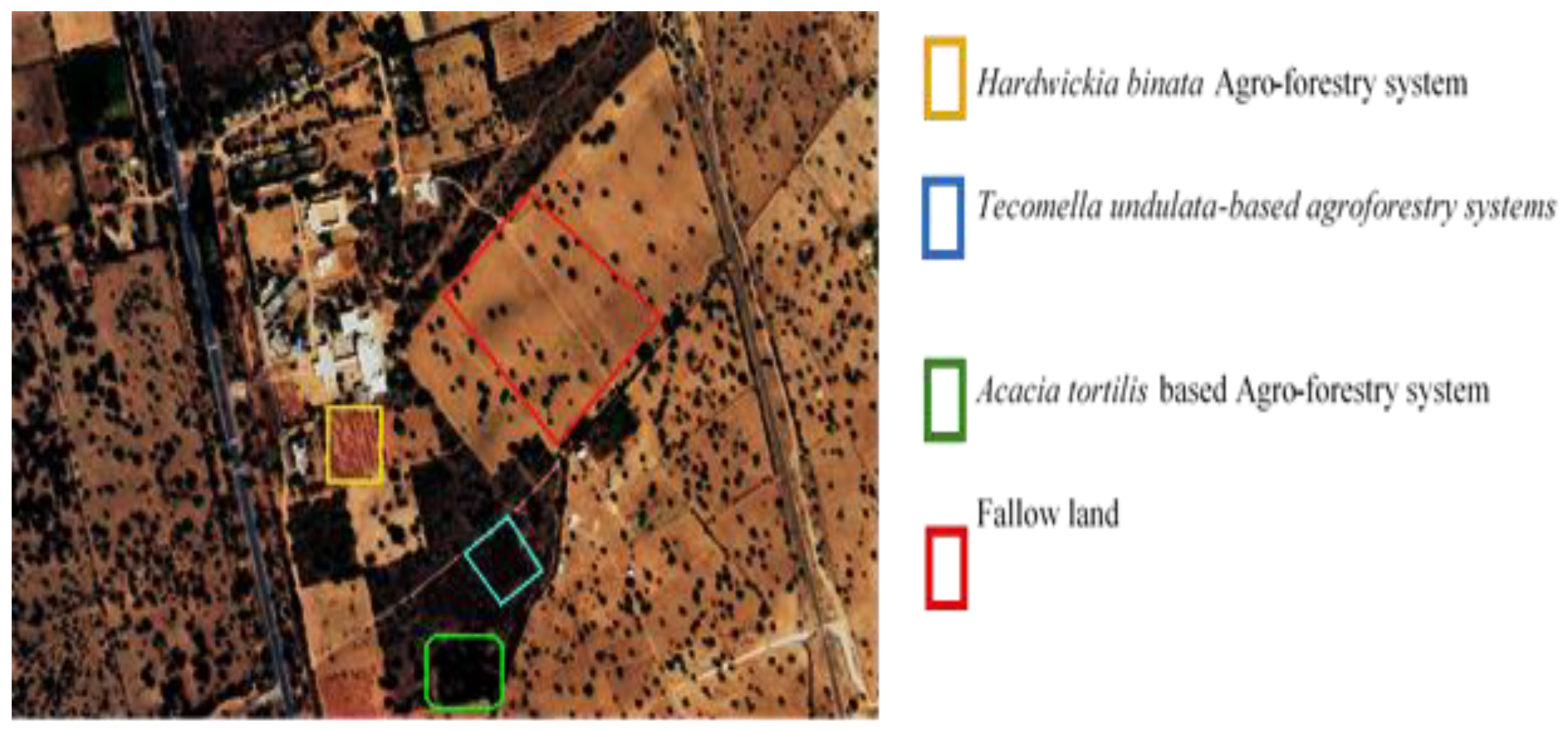 Forests 16 00946 g002
