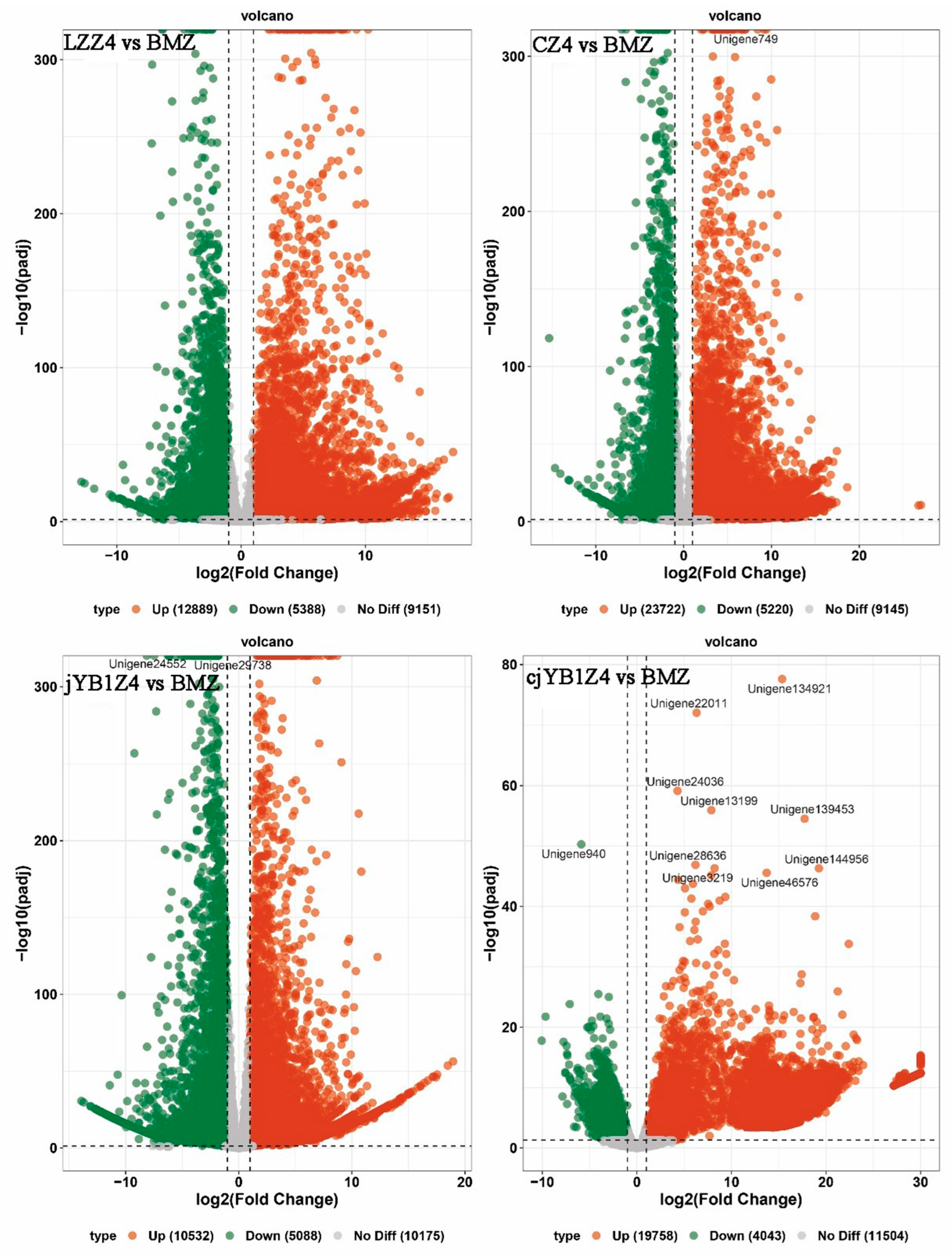 Forests 16 00960 g007