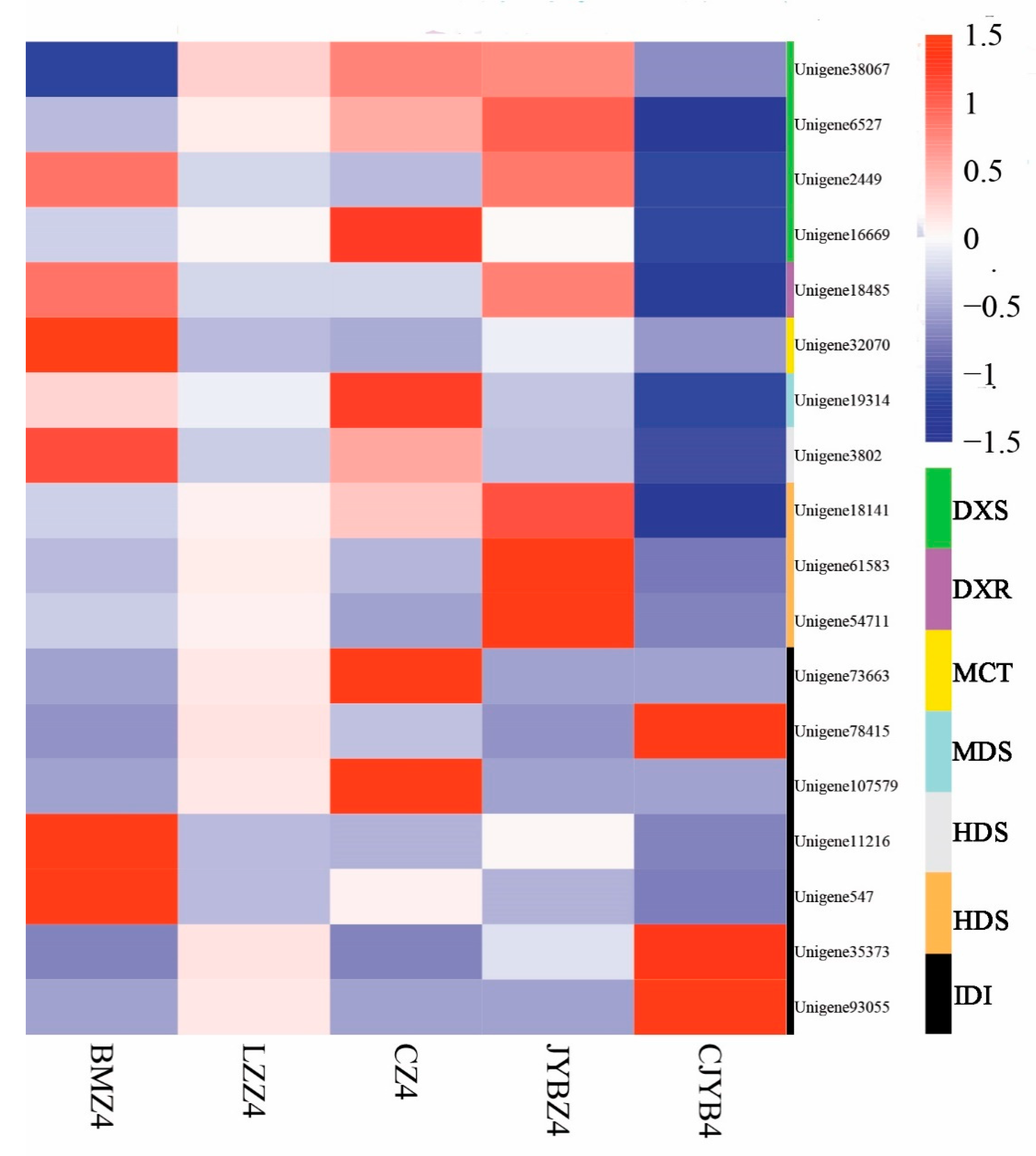 Forests 16 00960 g014